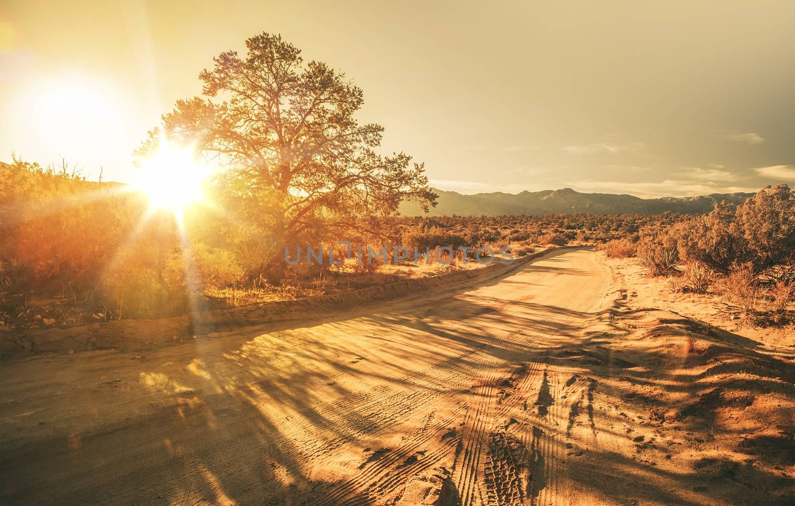 California Sandy Country Road During Scenic Sunset. California, United States.