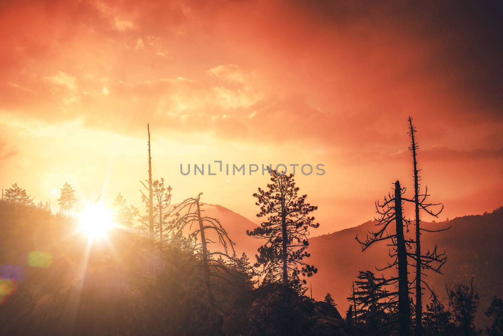 Scenic California Sunset in San Bernardino Mountains. California Landscape.