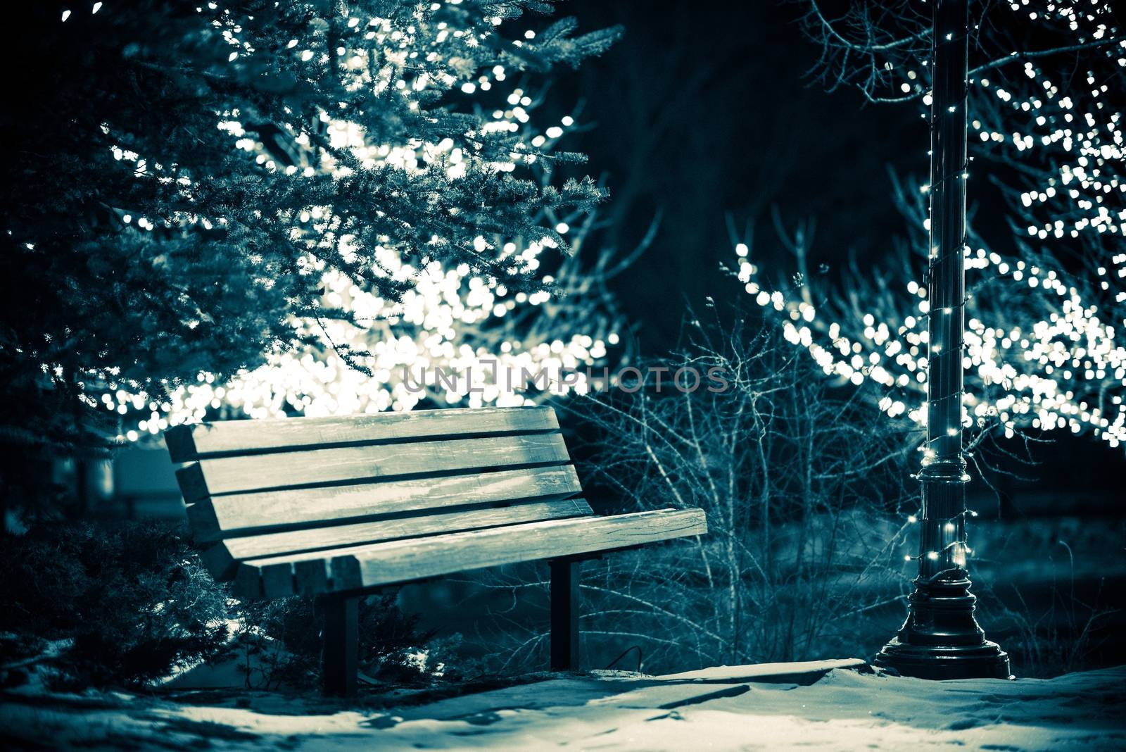 Park Bench in Winter. Wooden Bench in the Public Park and Holiday Lights on Trees Around. Dark Blue Color Grading