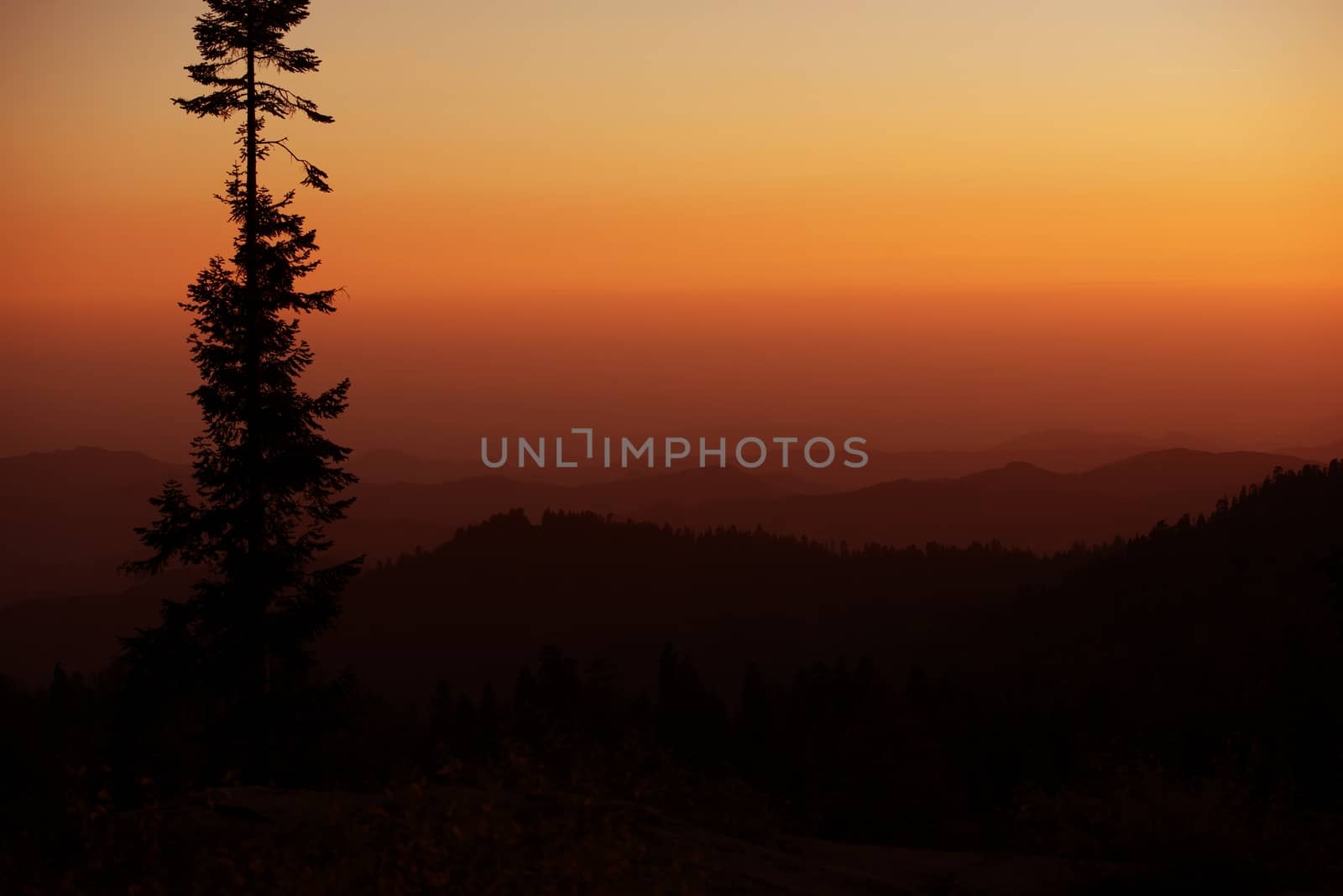 Sierra Nevada Mountains Sunset. Nature Silhouettes. Mountain Layers. Sierra Nevada, California, United States.