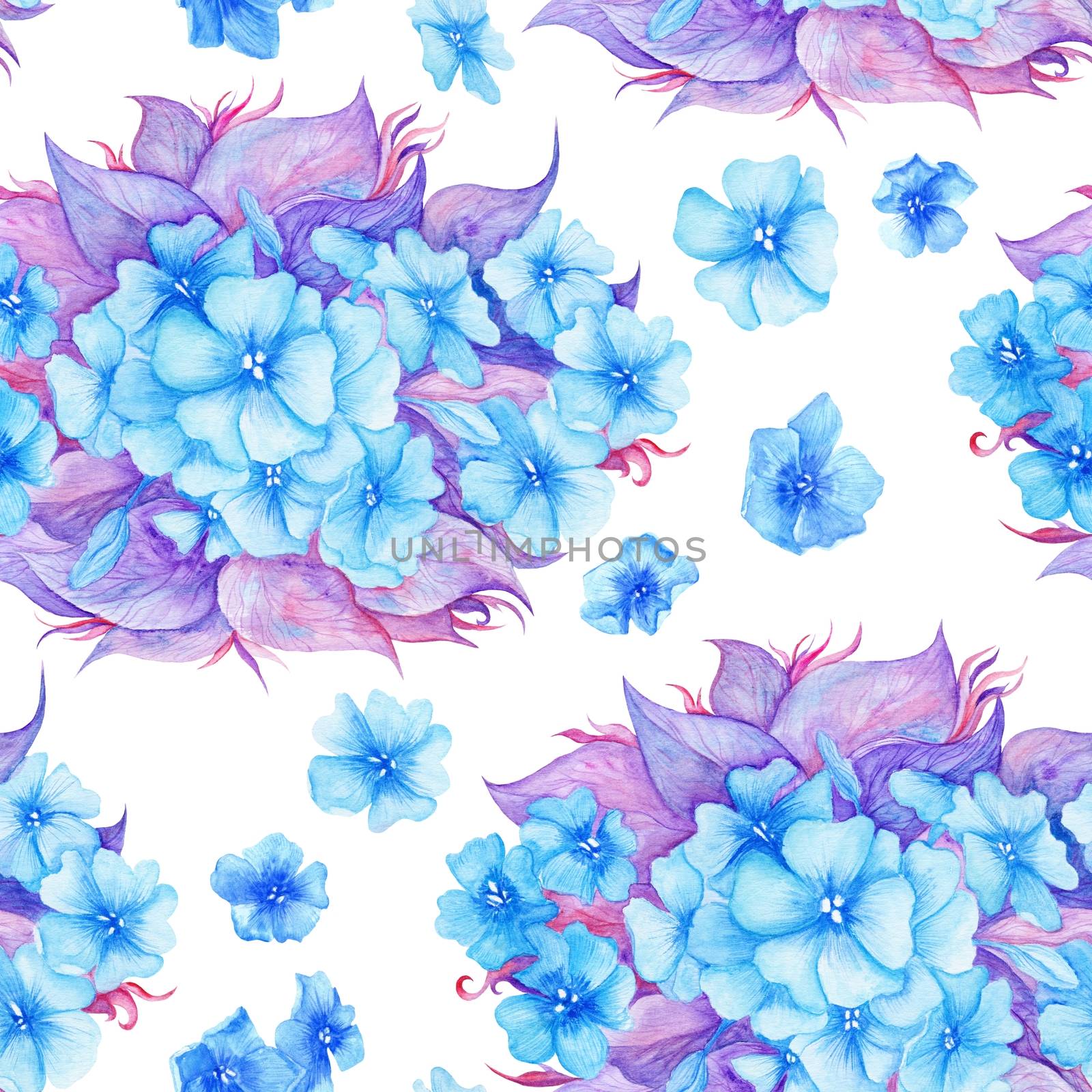Seamless blue and purple hydrangea texture on white background for wallpaper and textile design