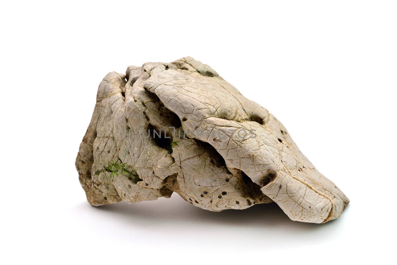 one simple natural rock over white background