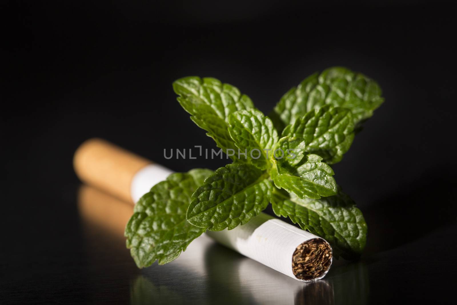 End of mint cigarette, closeup by CatherineL-Prod