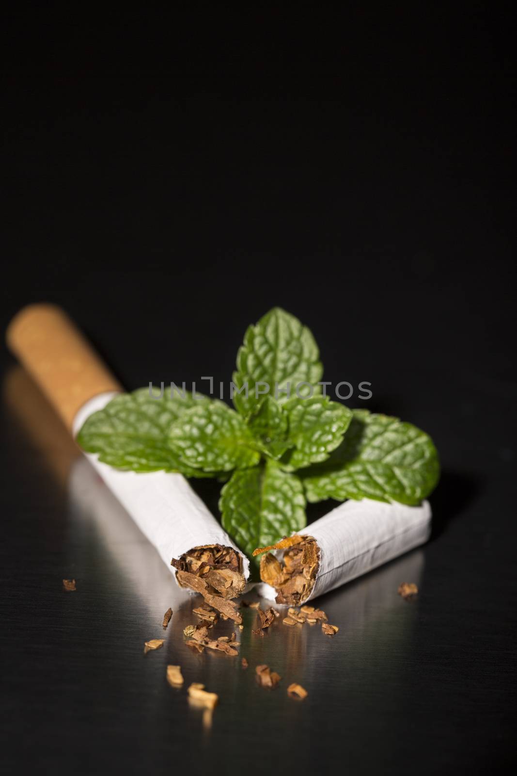 Broken cigarette with fresh mint, on black background