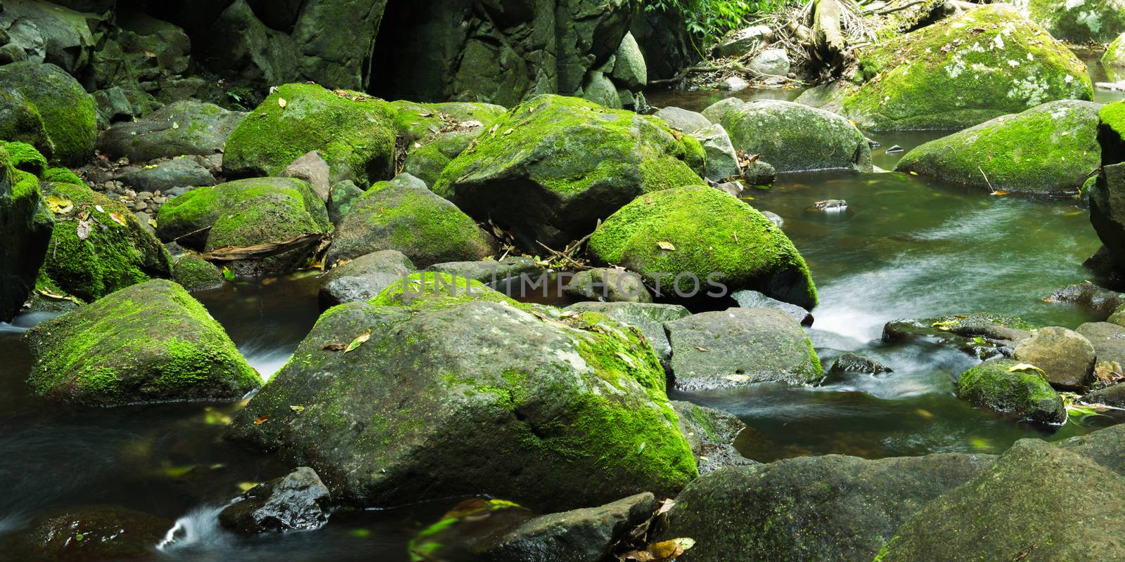 Waterfall in Lamington National Park in Queensland, Australia.