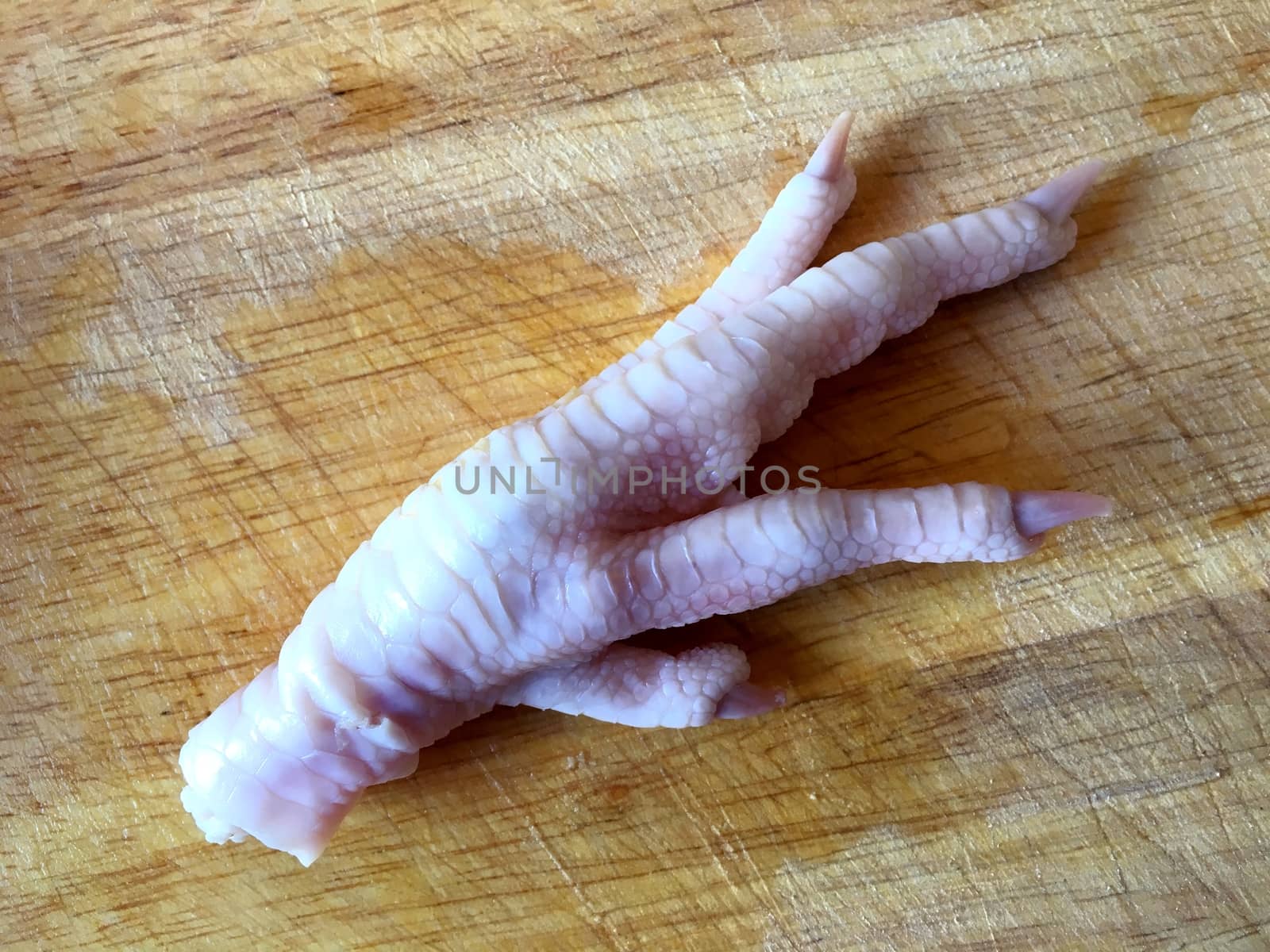 One raw chicken foot on a cutting board.