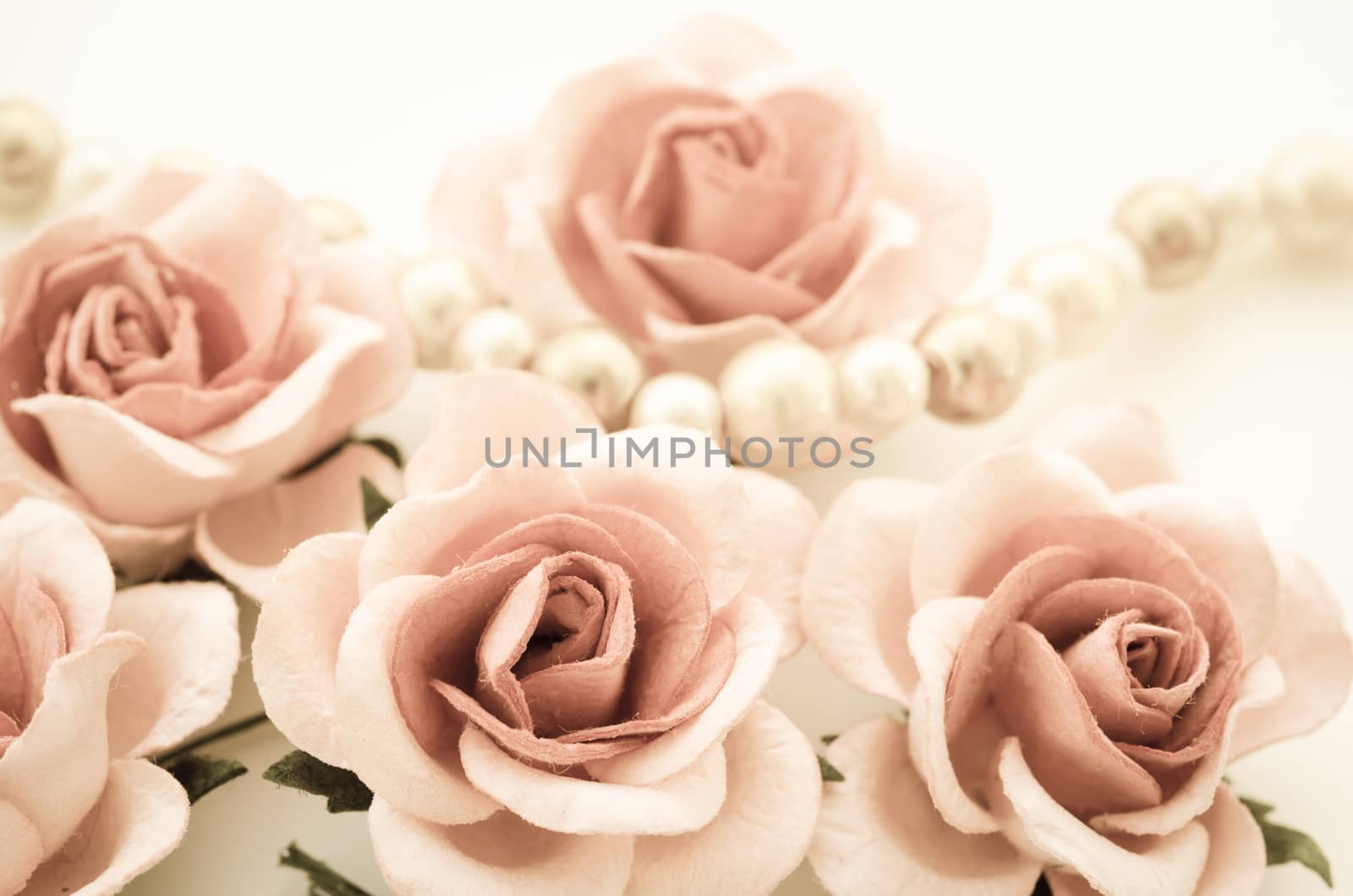 Vintage of roses and Pearl Necklace in valentine's day.