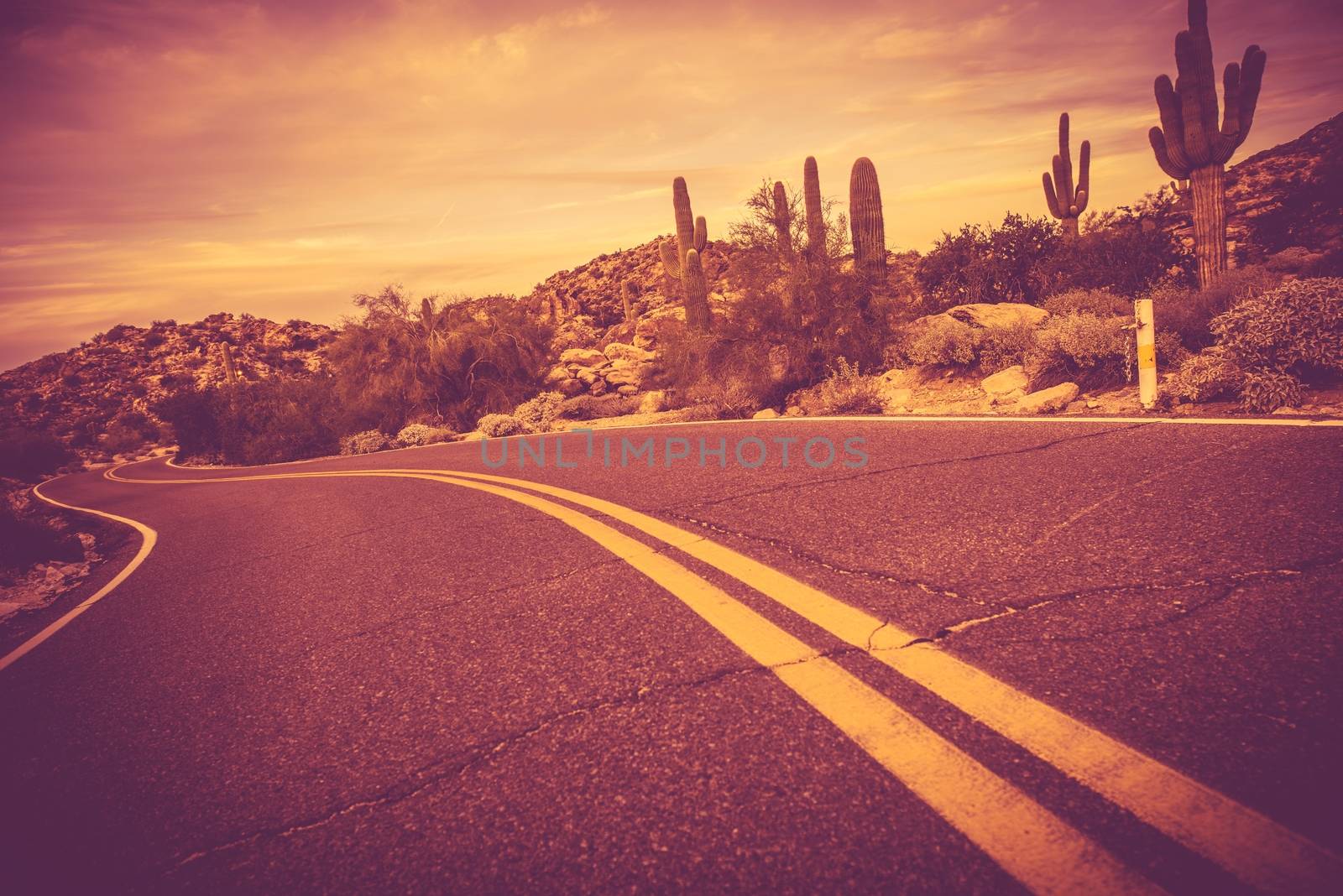 Curved Arizona Desert Road. Traveling Theme. Rocks and Cactuses Landscape.