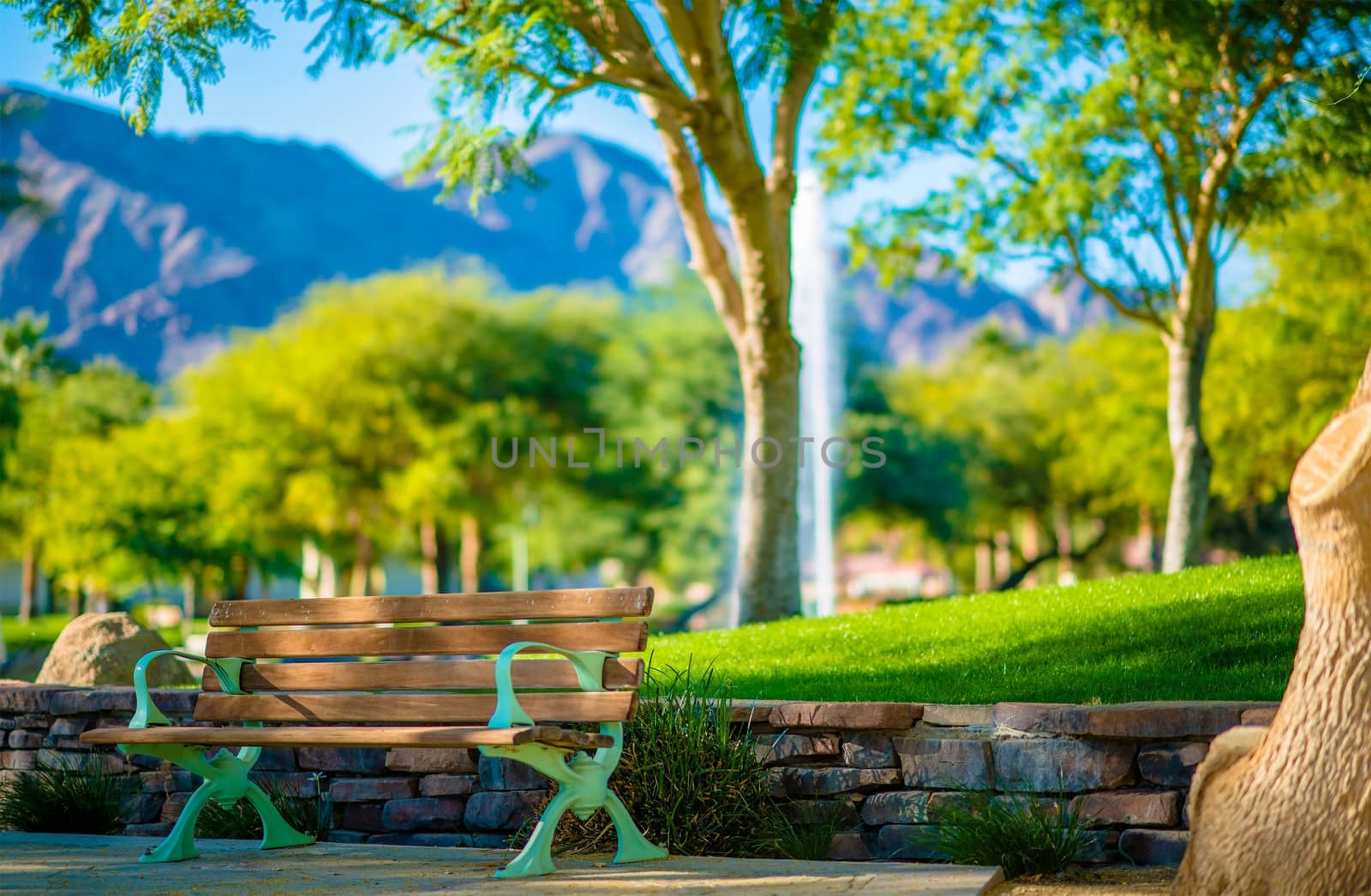 La Quinta California City Park Bench. Coachella Valley, California, United States.