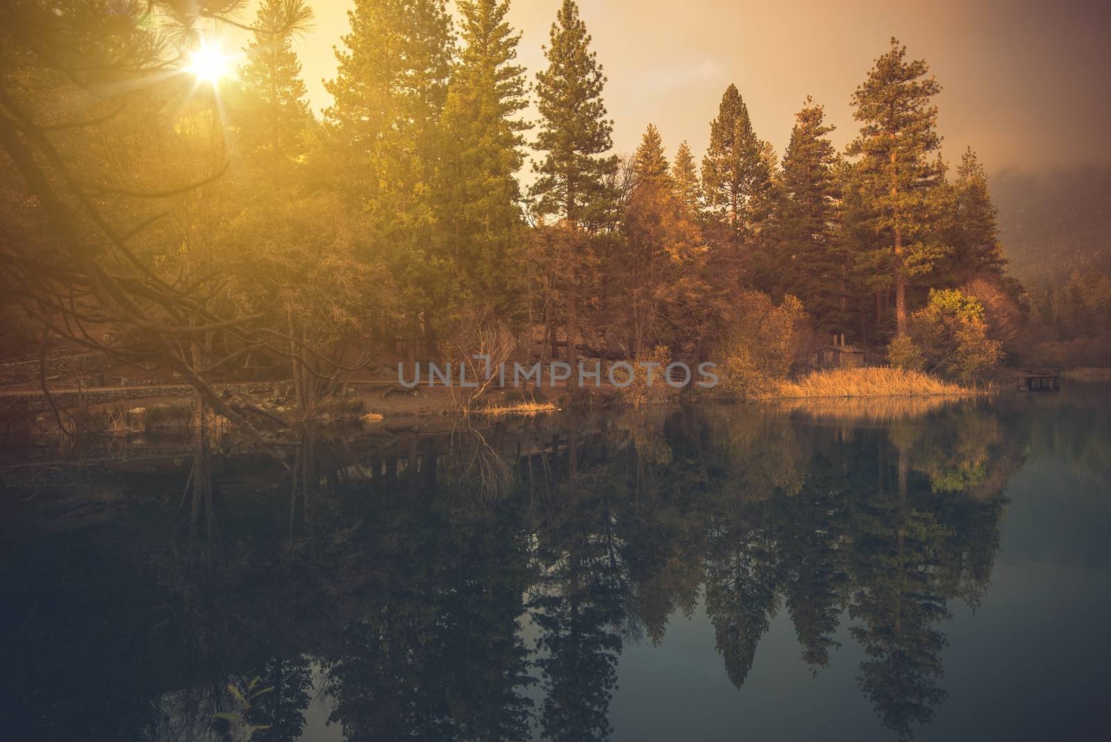 Morning at the Foggy Mountain Lake. California San Bernardino Mountains, United States.