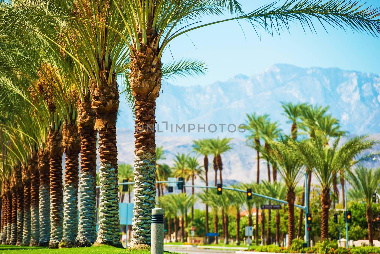 Palms Road Coachella Valley. Highway 111 in Indian Wells, California, USA.