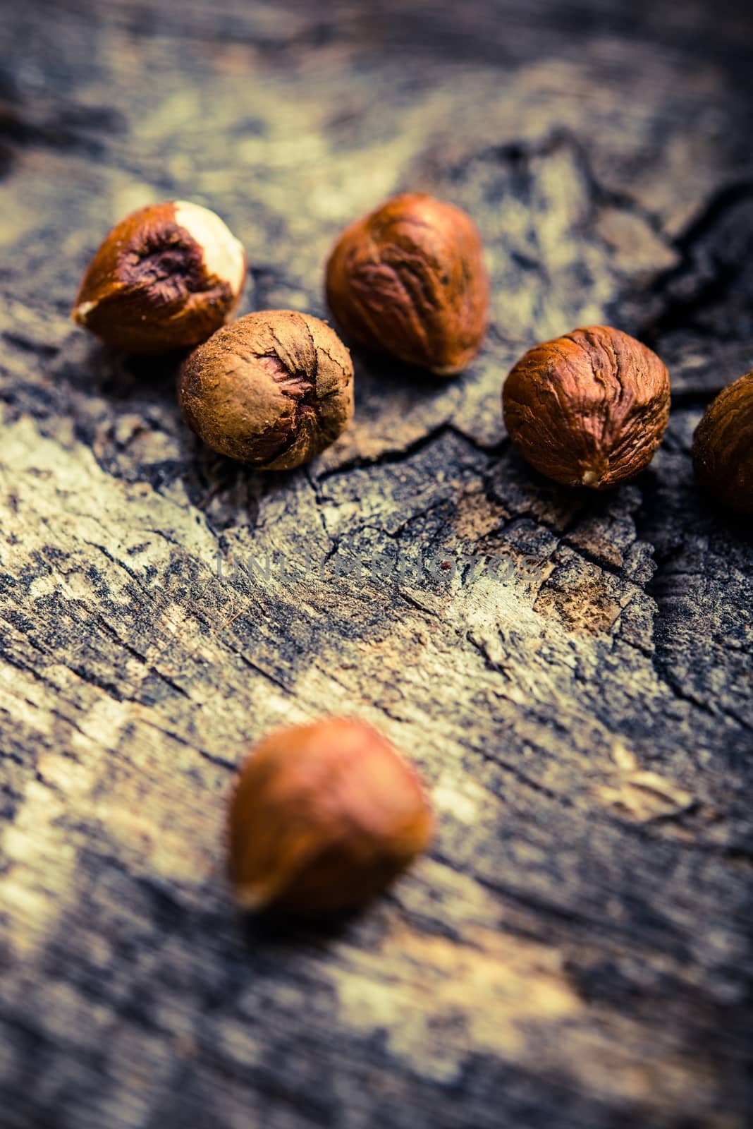 Raw Nuts on the Wood by welcomia