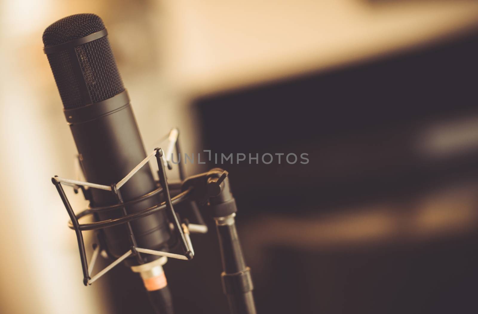 Professional Tube Microphone in the Recording Studio. Microphone Closeup.