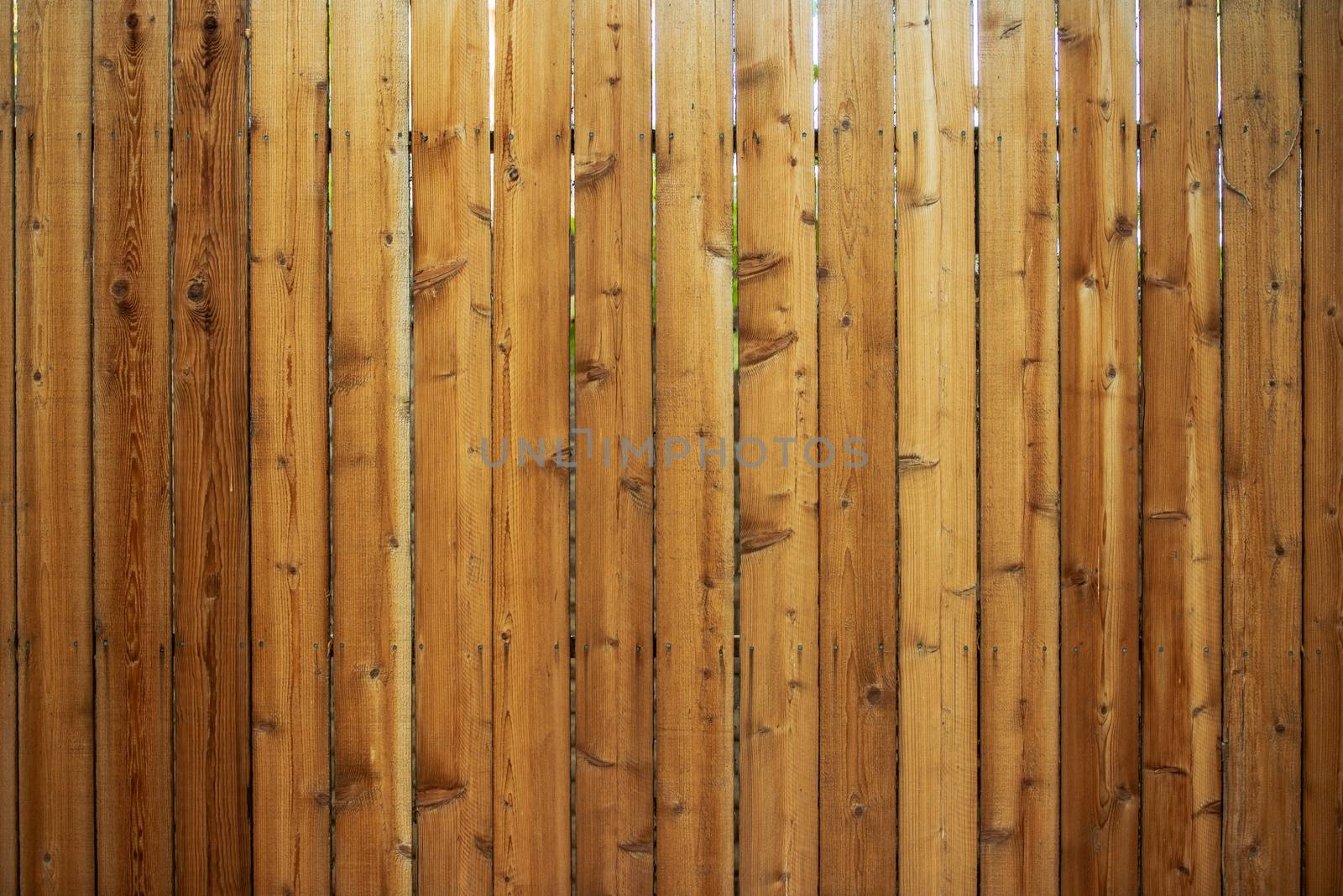 Wood Fence Backdrop. Raw Wood Fence. Vertical Planks.