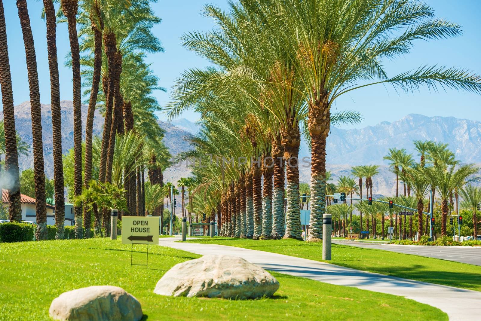 Indian Wells City Streets, California, United States. Palms Row.