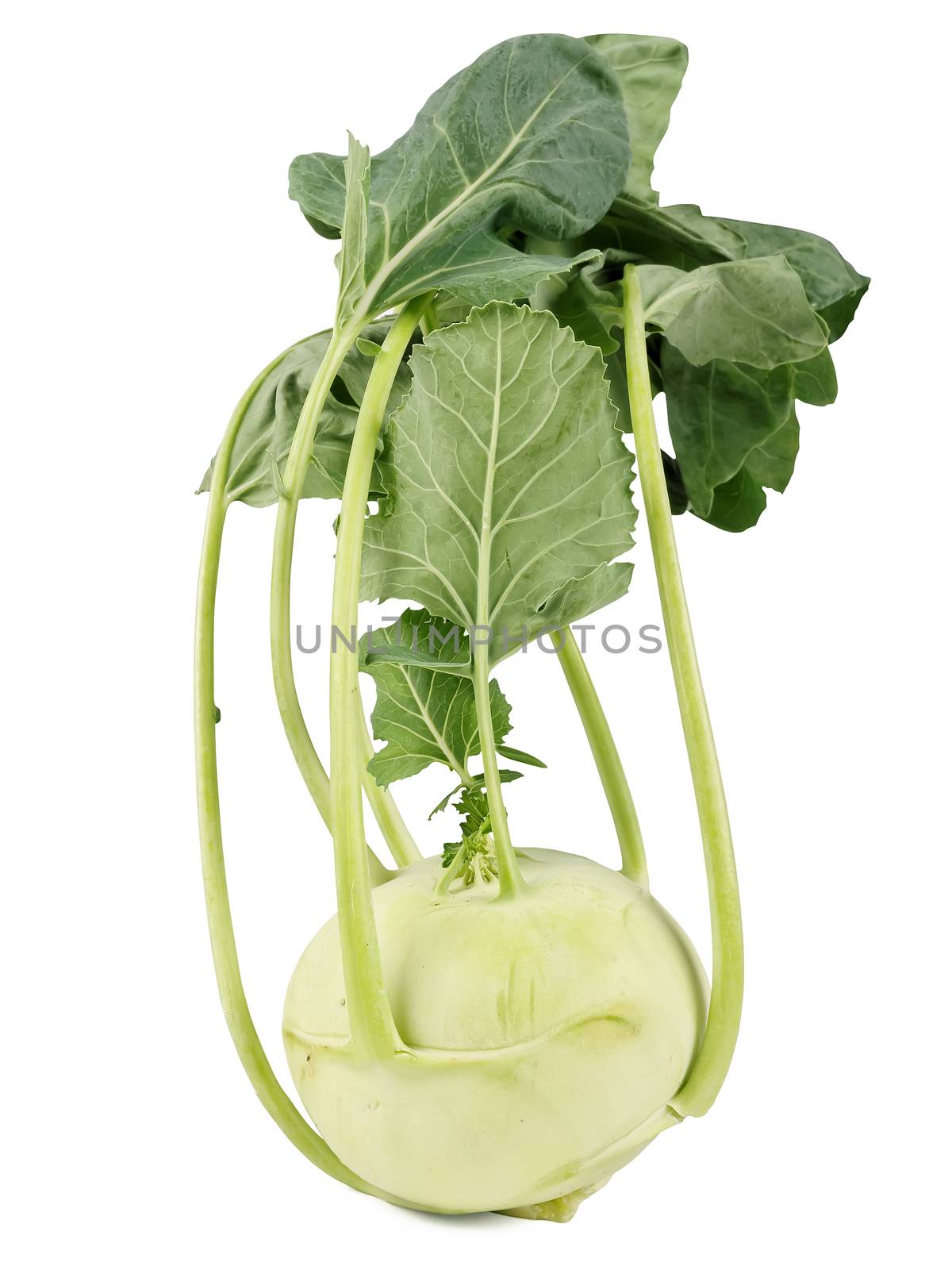 kohlrabi with green leaves isolated on white background, studio shot