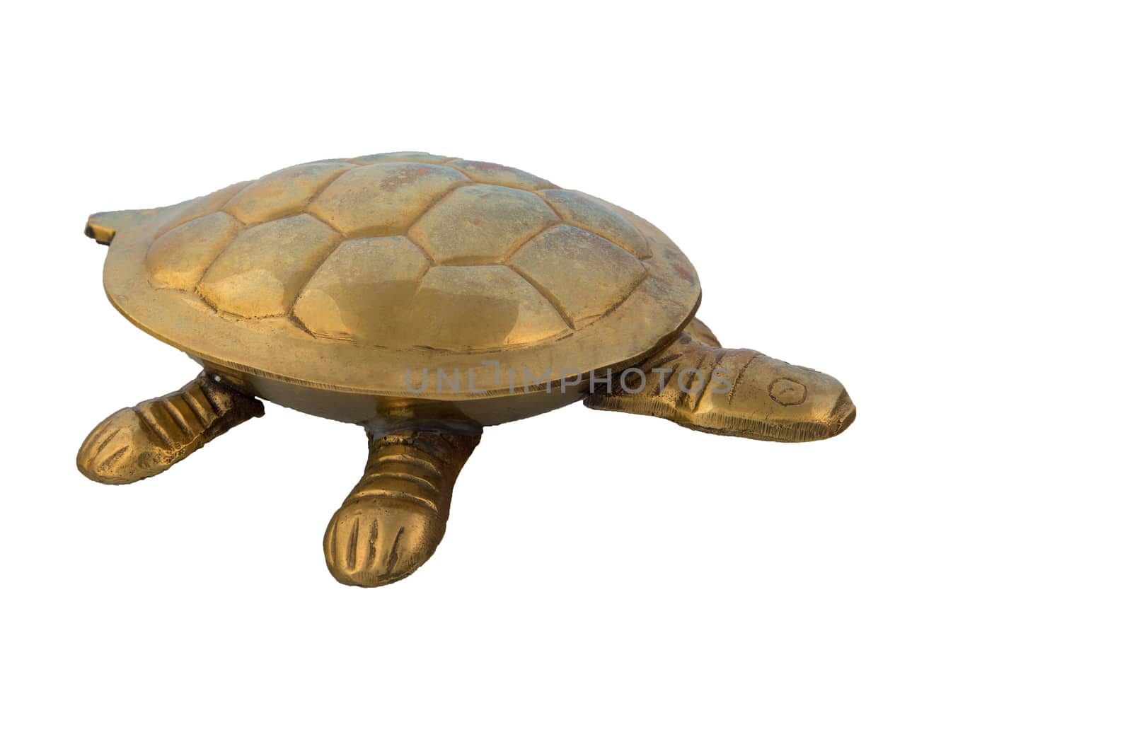 Golden turtle on a white background