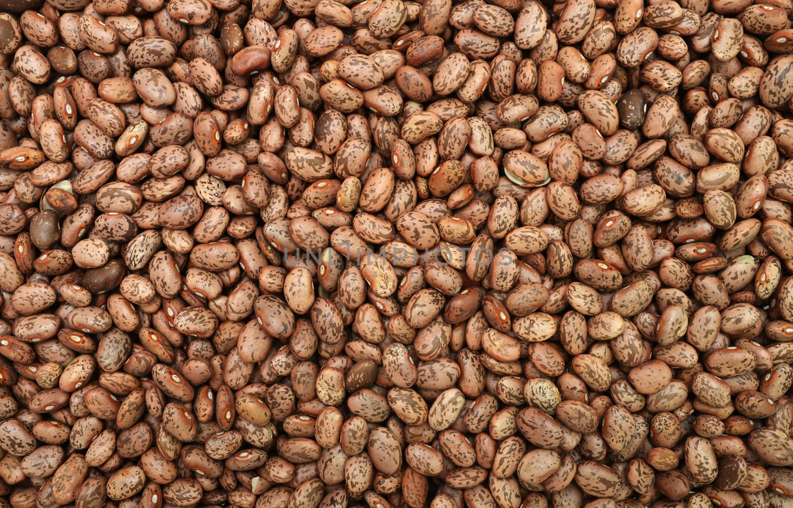 Pinto Beans texture food pattern vegetable background