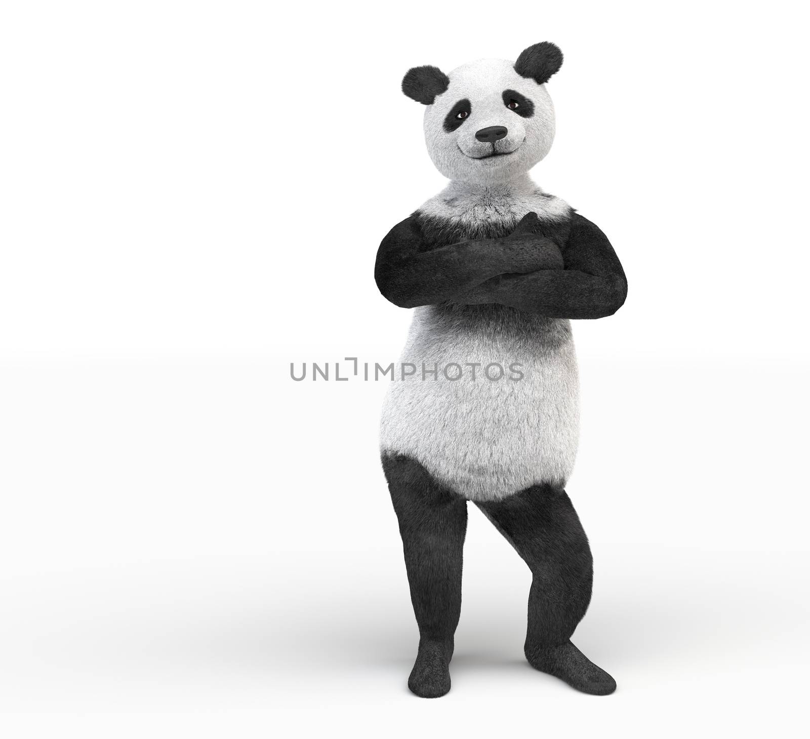 panda personage folded paws across by xtate