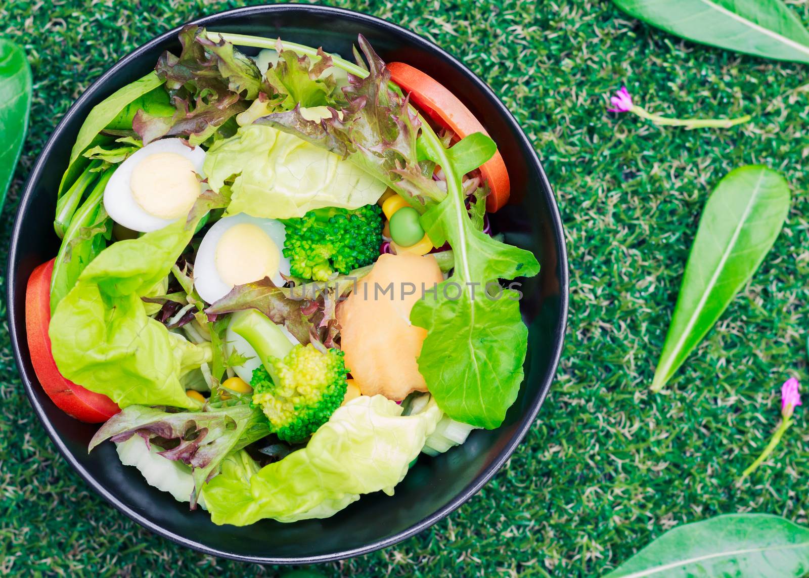 Mixed salad with quail eggs on green grass