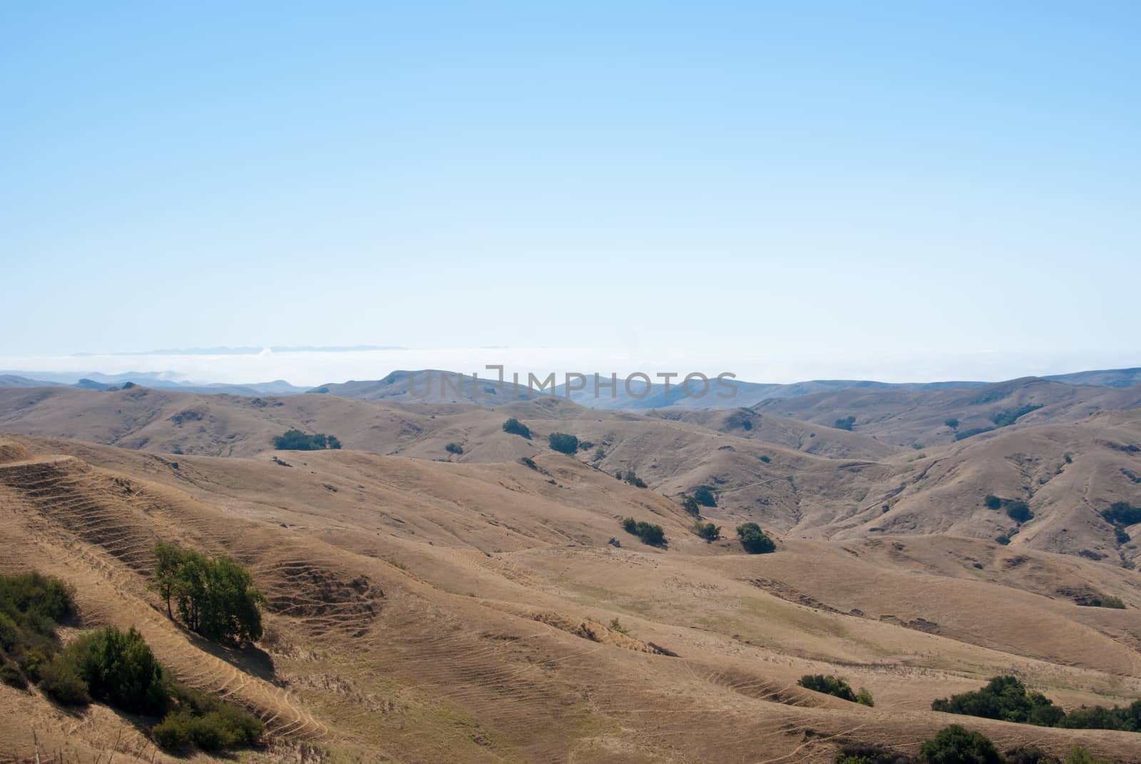 Fog over the rolling hills of California coast by emattil
