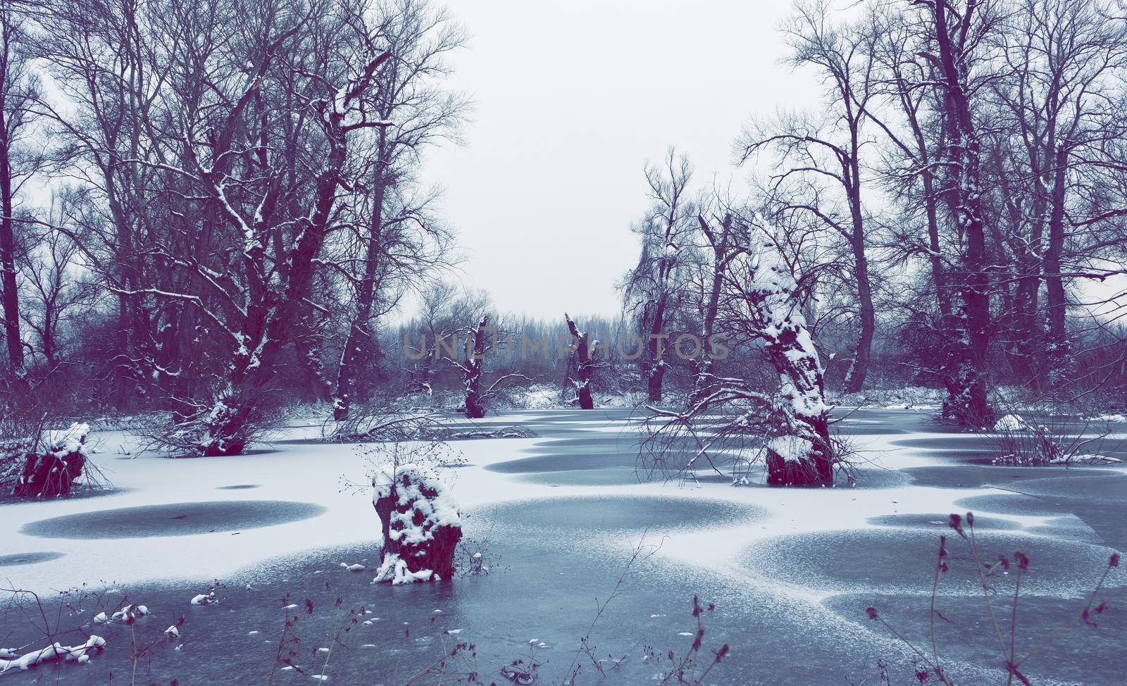  Flooded area around the river in winter time by Kidza