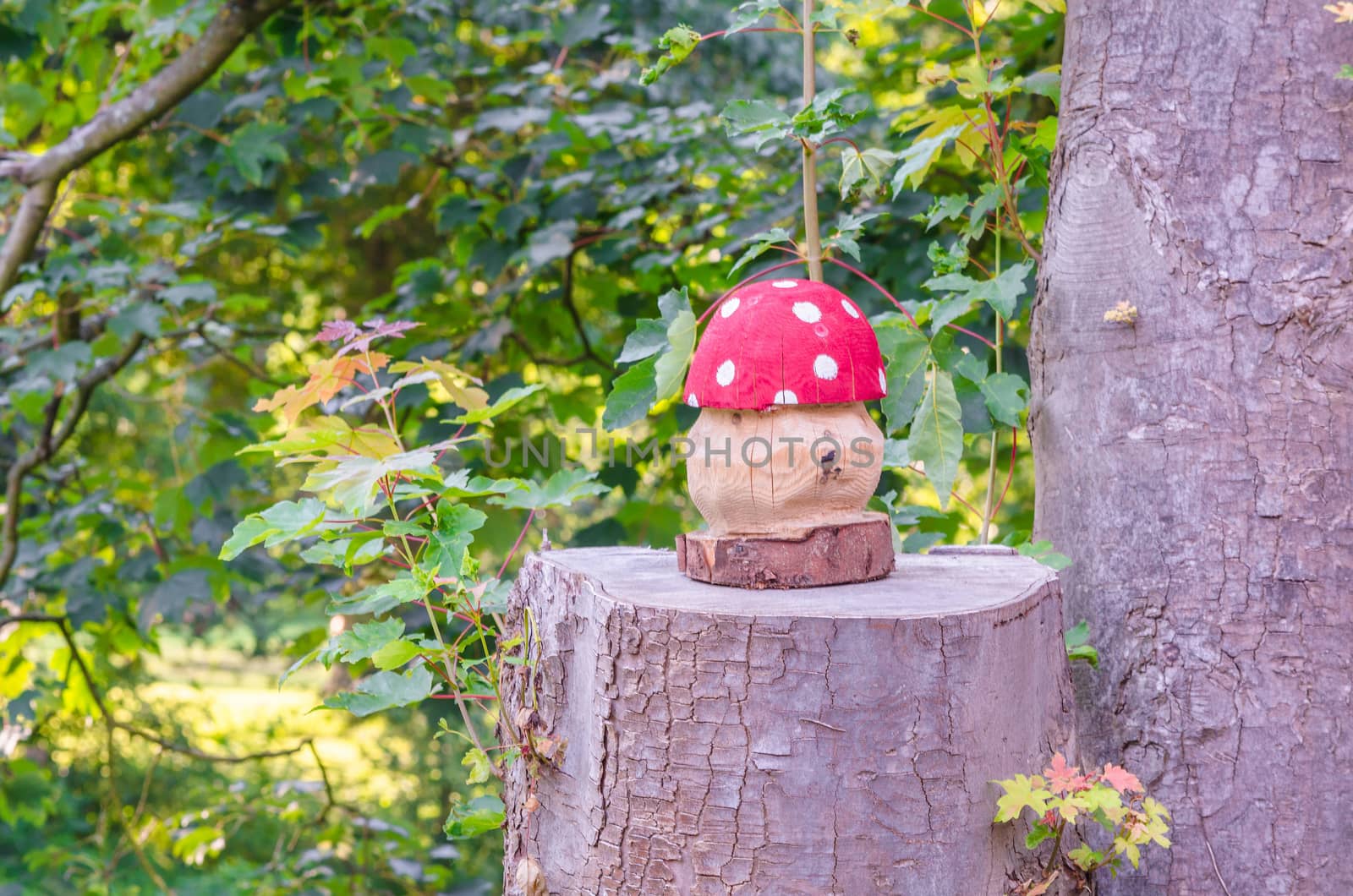 Fly agaric by JFsPic