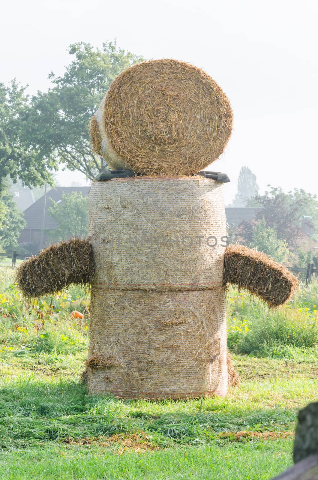 Hay bale figure, in the countryside.
