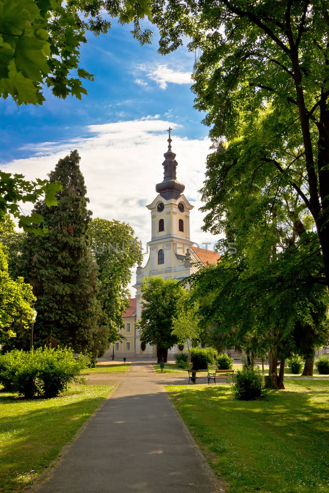 Town of Bjelovar park and church vertical view, Croatia