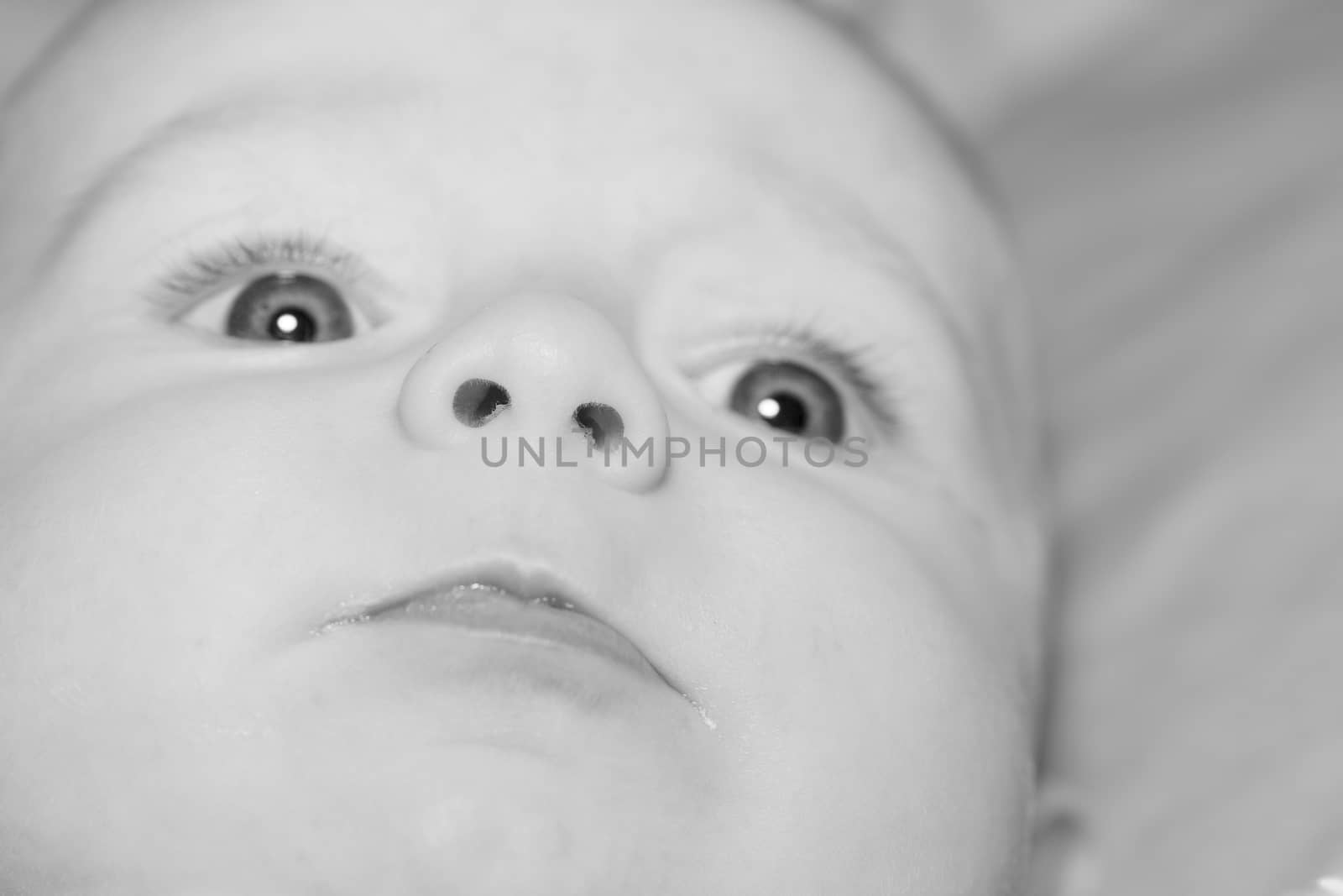 Portrait of a four months old baby boy black and white caucasian
