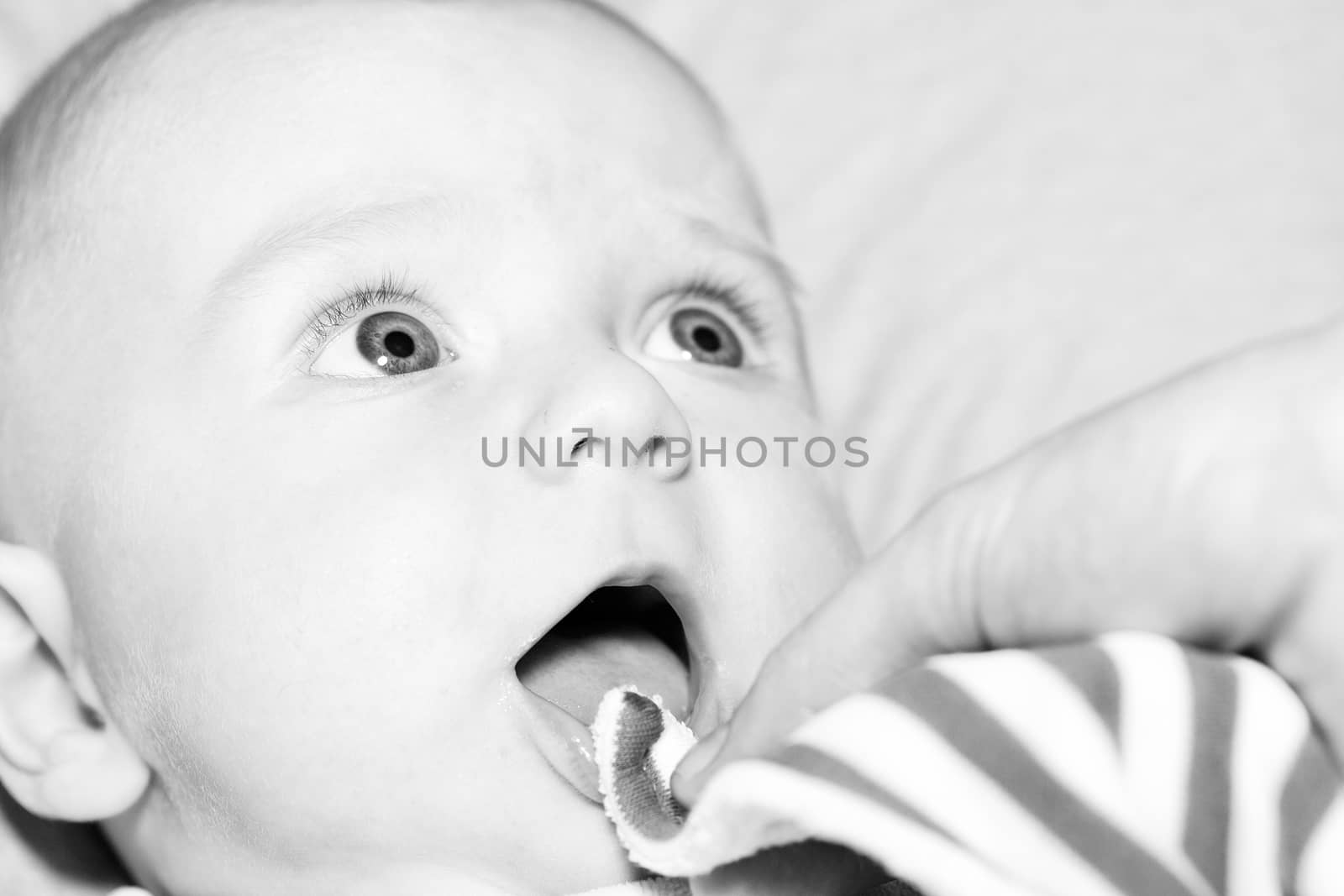 Portrait of a four months old baby boy black and white caucasian
