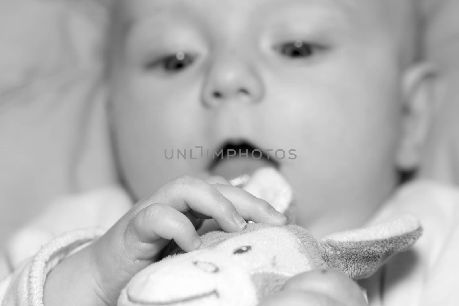 Portrait of a four months old baby boy black and white caucasian