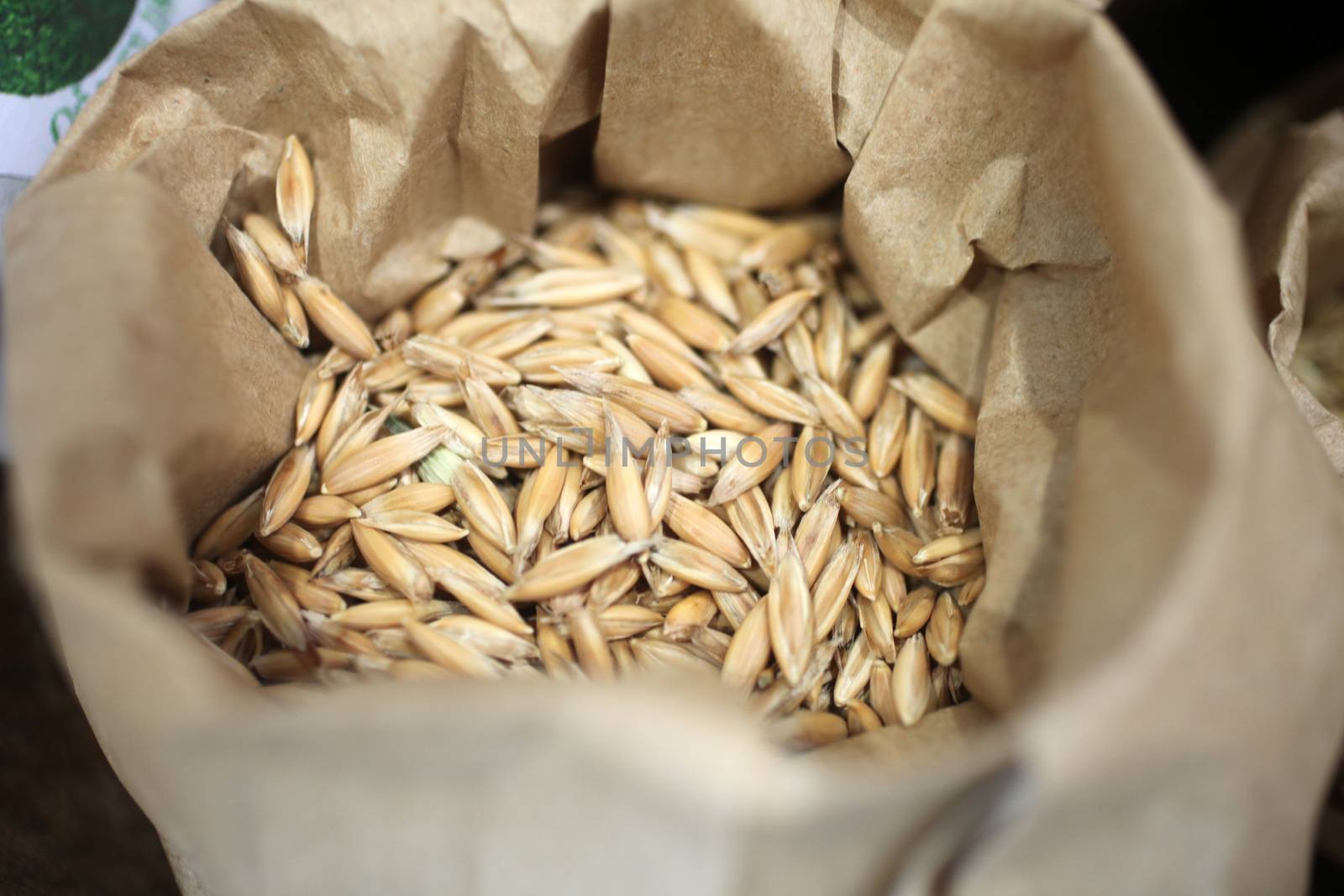 Wheat