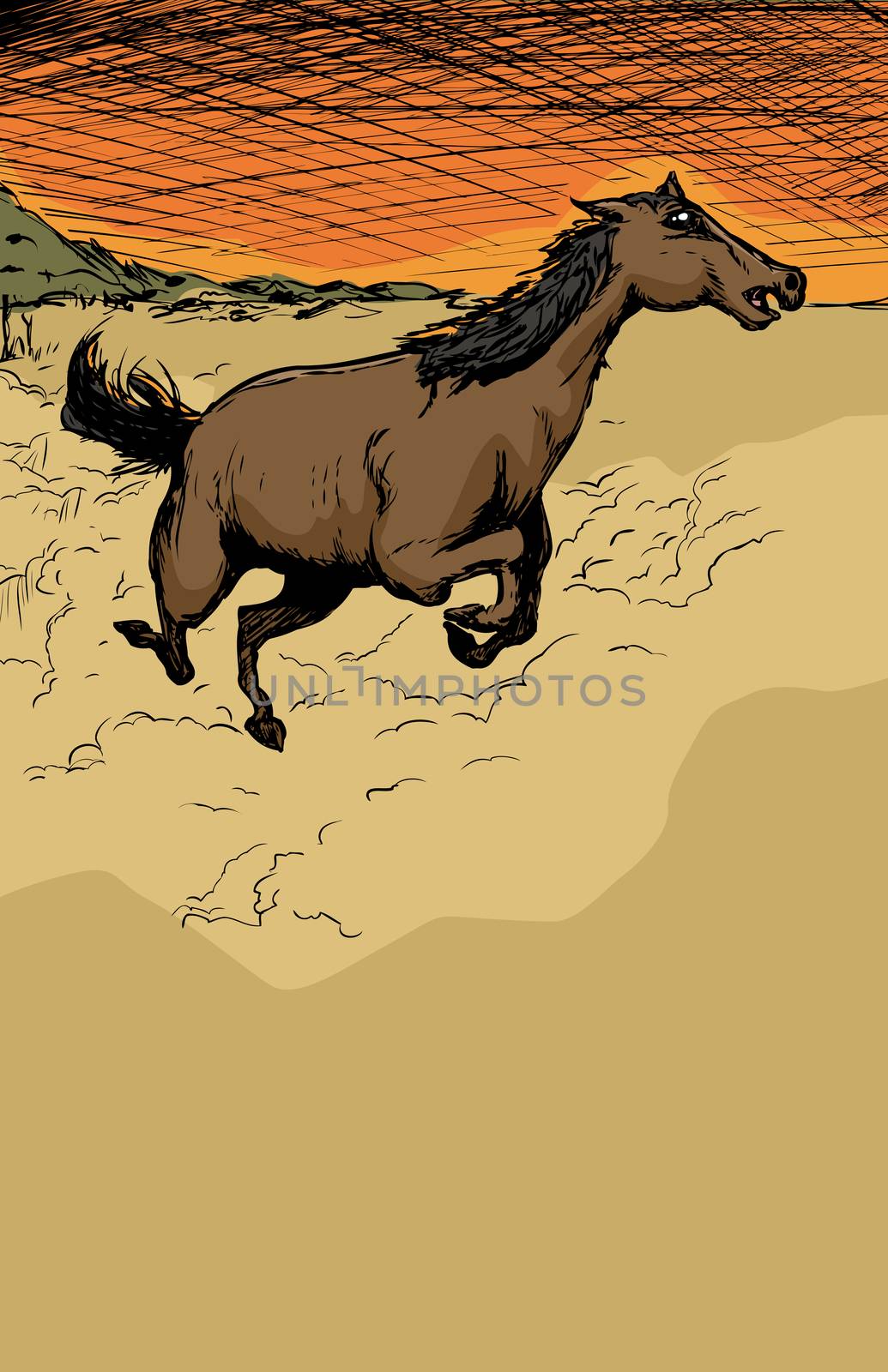 Running Horse Kicking Up Dust by TheBlackRhino
