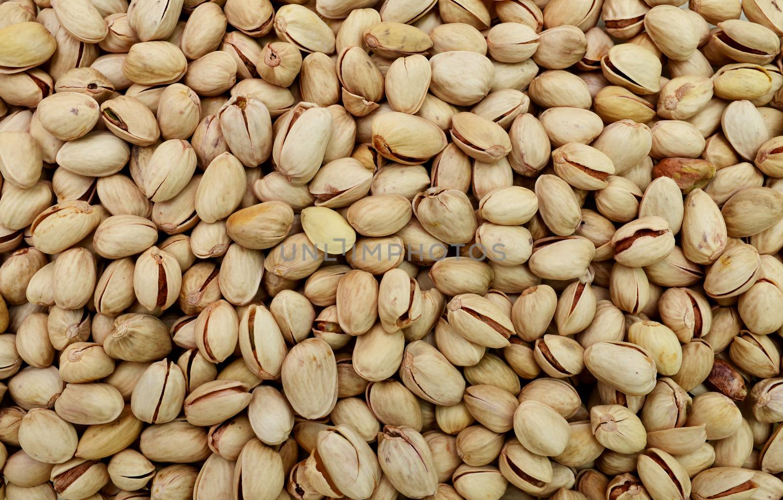 pistachio tree seeds texture food pattern background