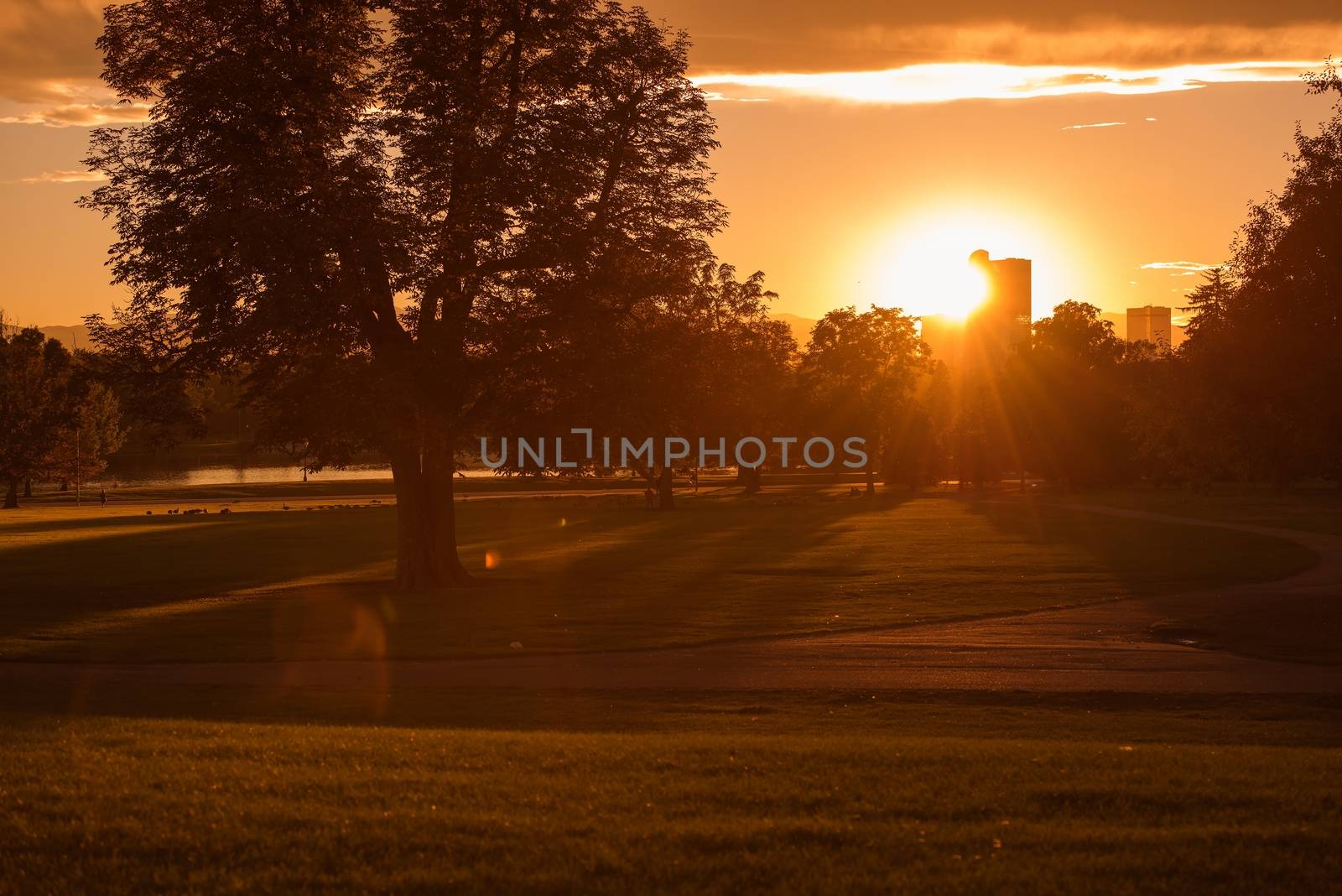 Fall Sunset in Denver City Park. Denver, Colorado, United States.