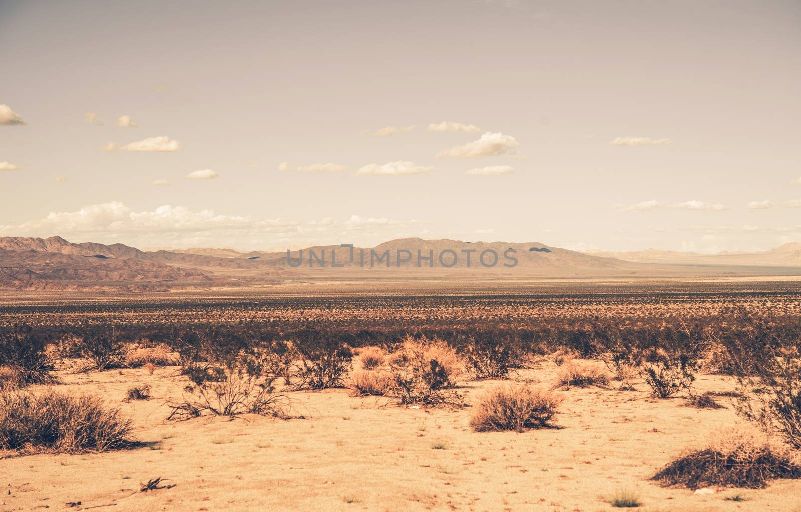 Southern California Desert. Sandy American Desert Landscape