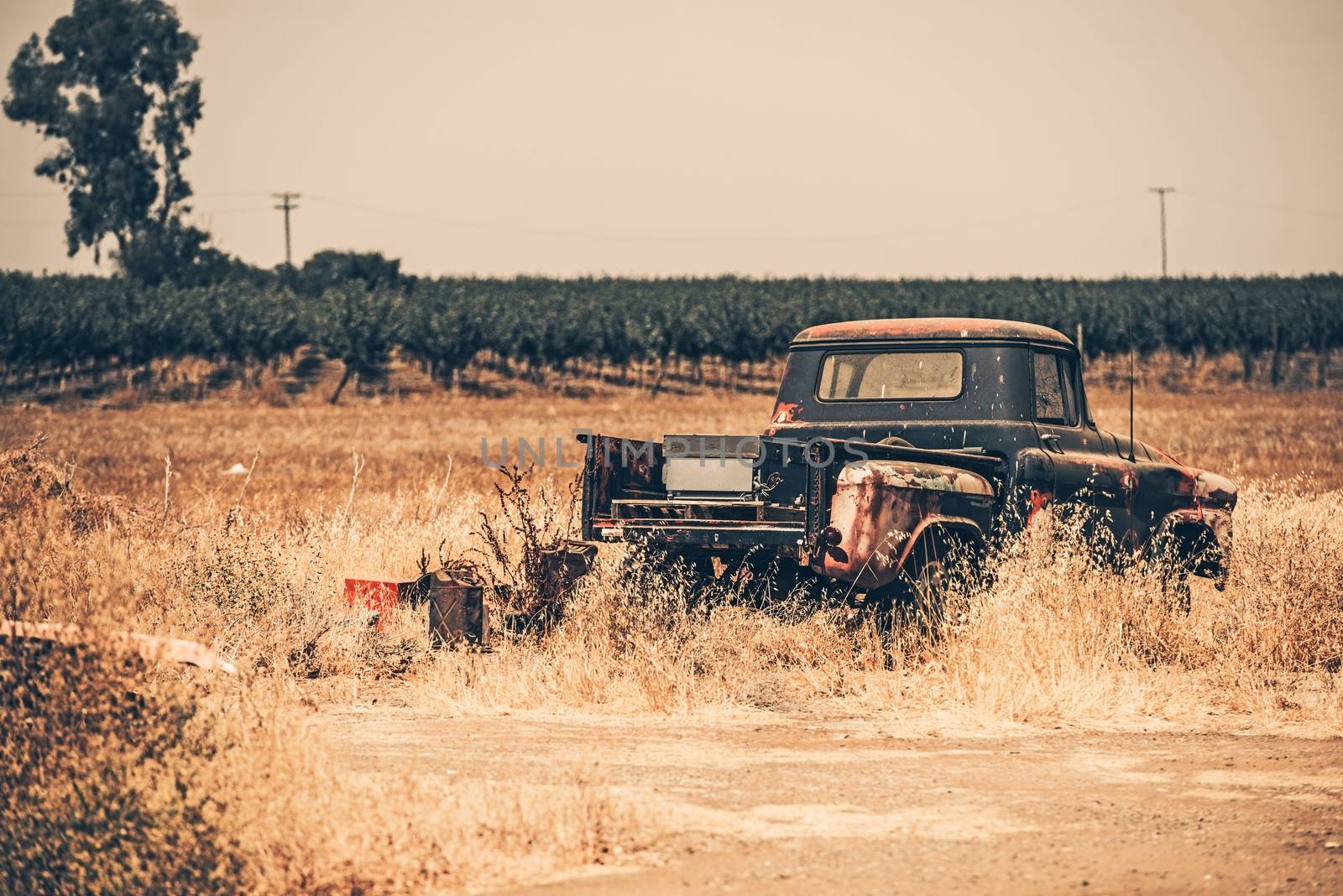 Junk Aged Pickup on the Dry California Meadow. History of American Transportation.