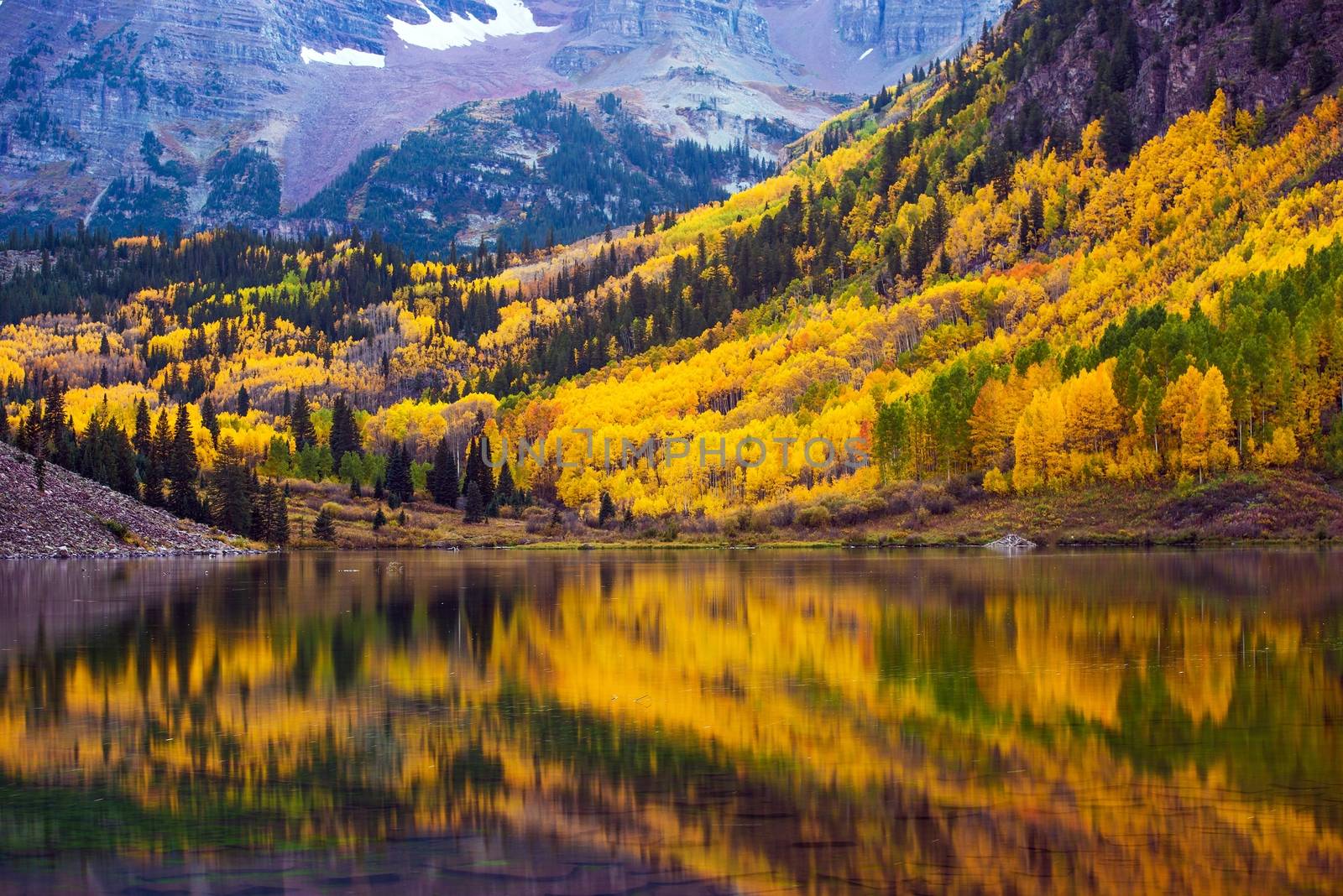 Fall in the Colorado, Maroon Lake and Colorful Forest. Yellow Aspen Trees. Aspen, Colorado, USA.