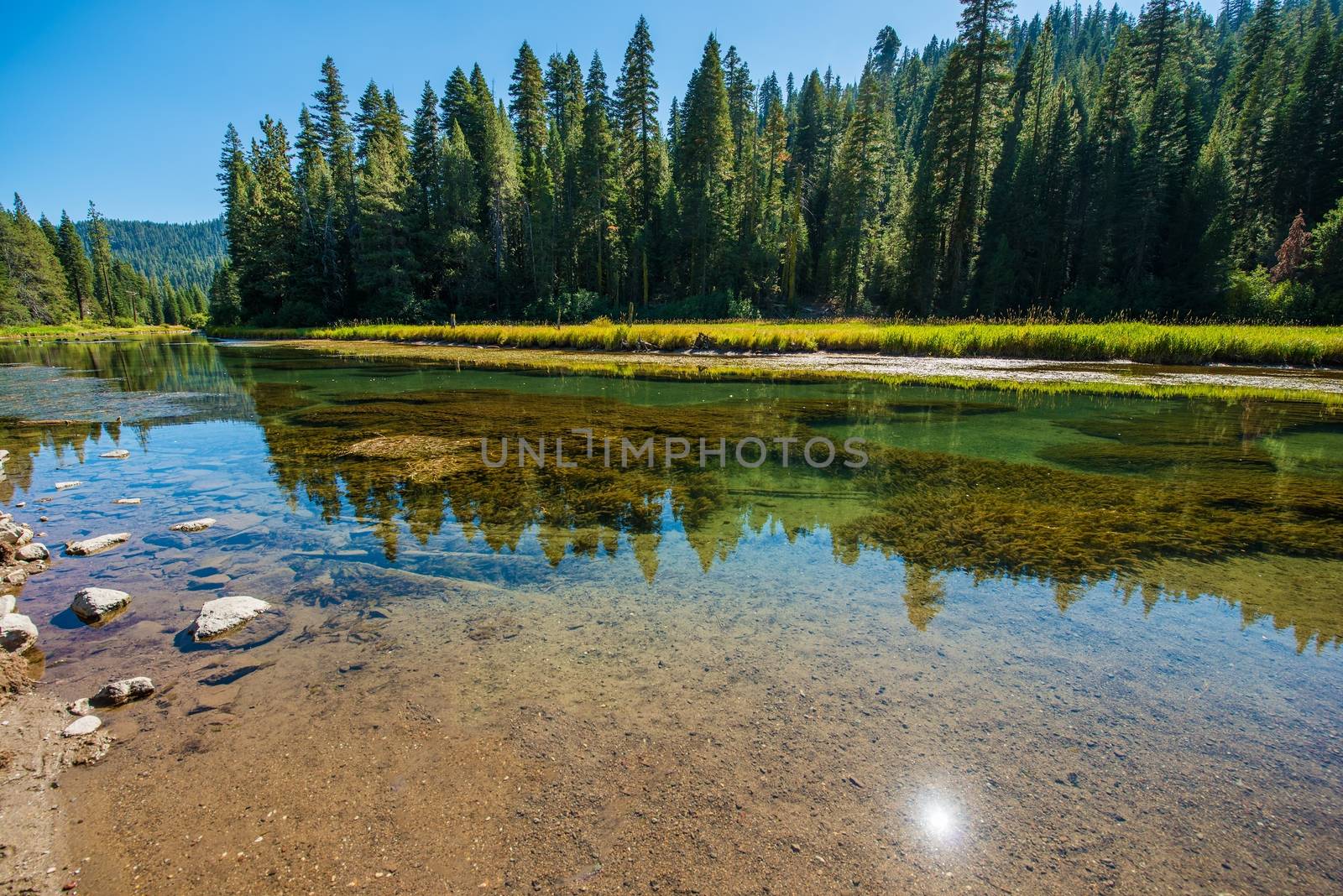Truckee River Summer Scenery near Lake Tahoe, California, USA.