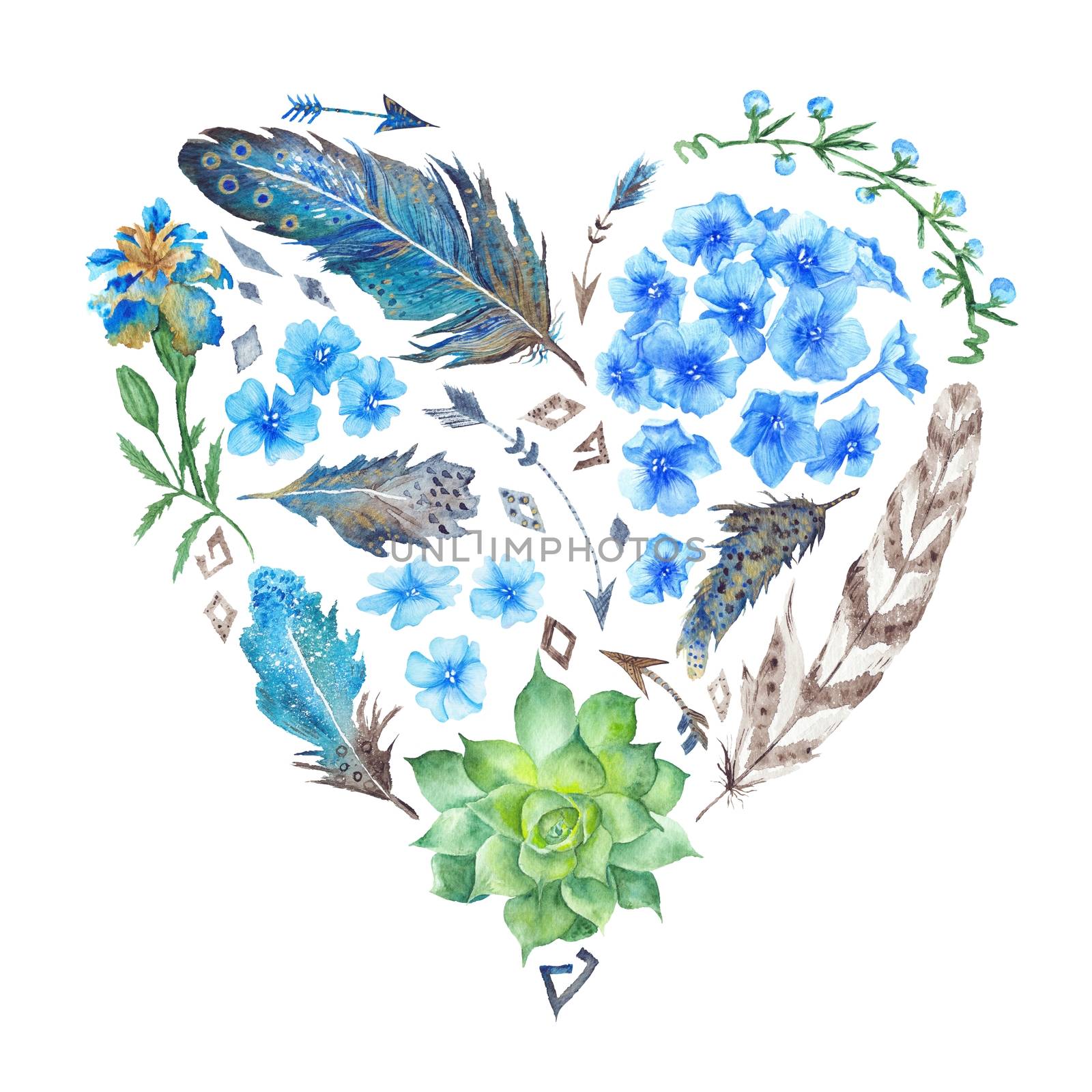 Creative botanical Valentine illustration with plants and feathers isolated on white background