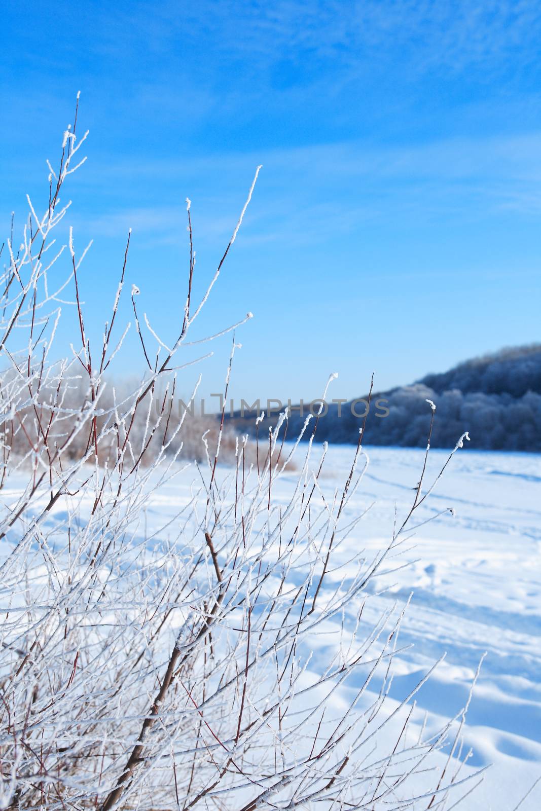 Winter landscape with frozen tree against blue sky