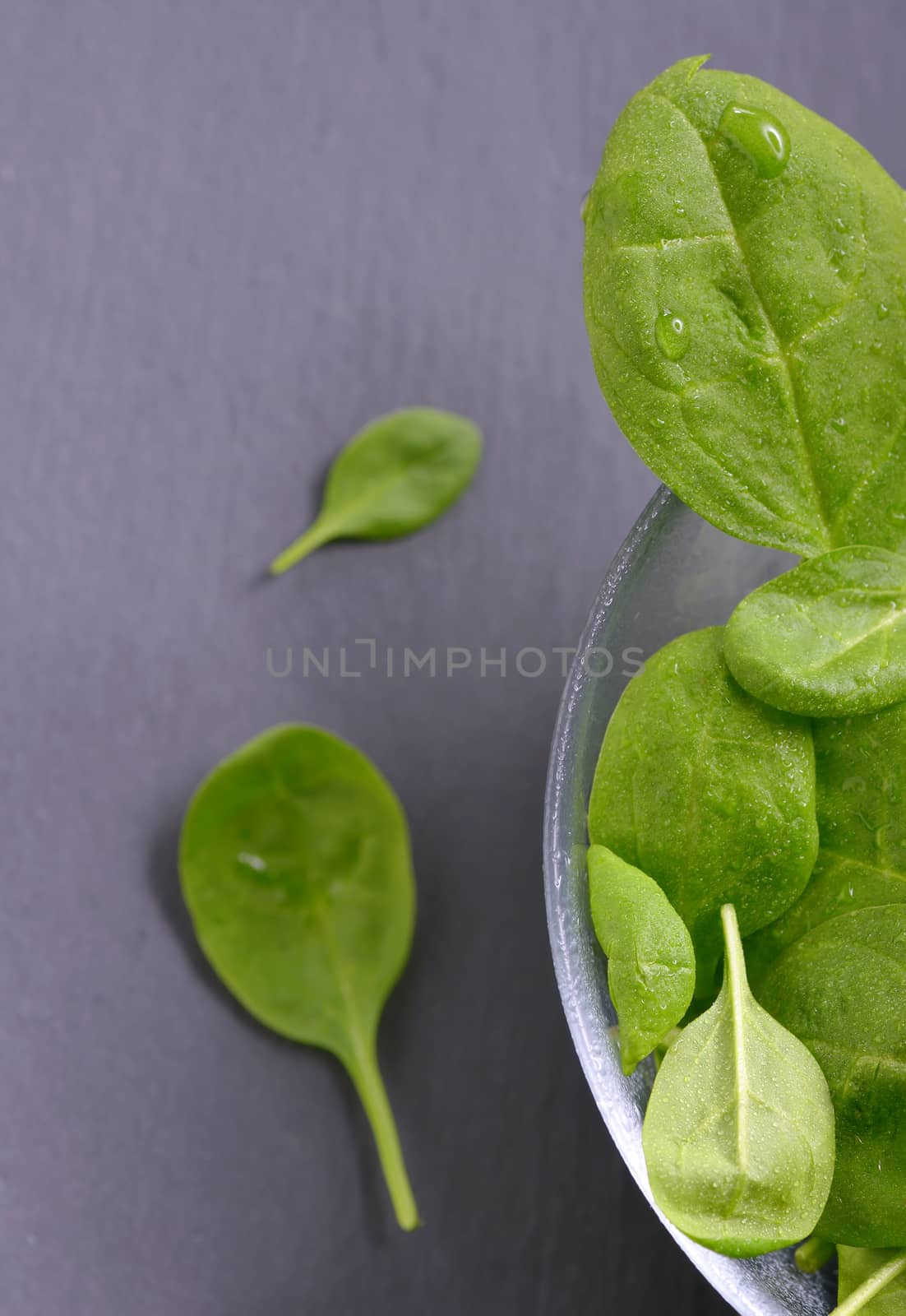 Fresh spinach leaves and water drops