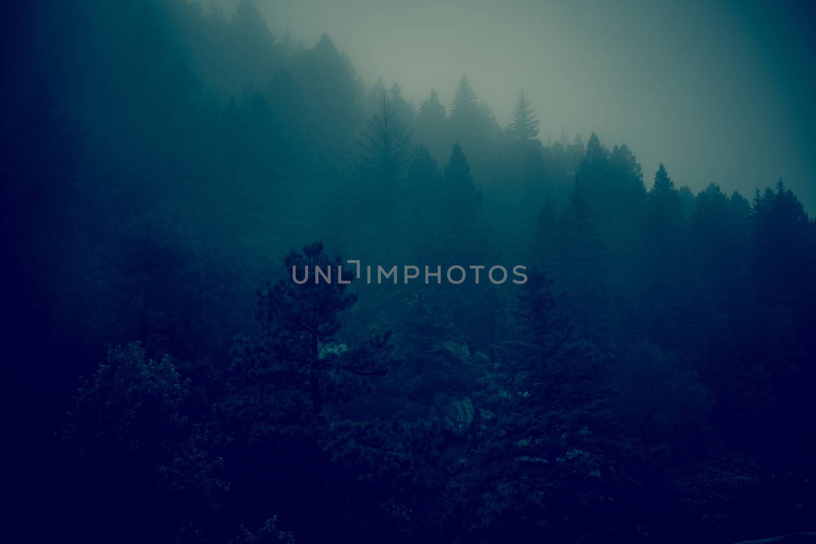 Dark Foggy Forest Hills. Foggy Colorado Landscape in Dark Blue Color Grading.