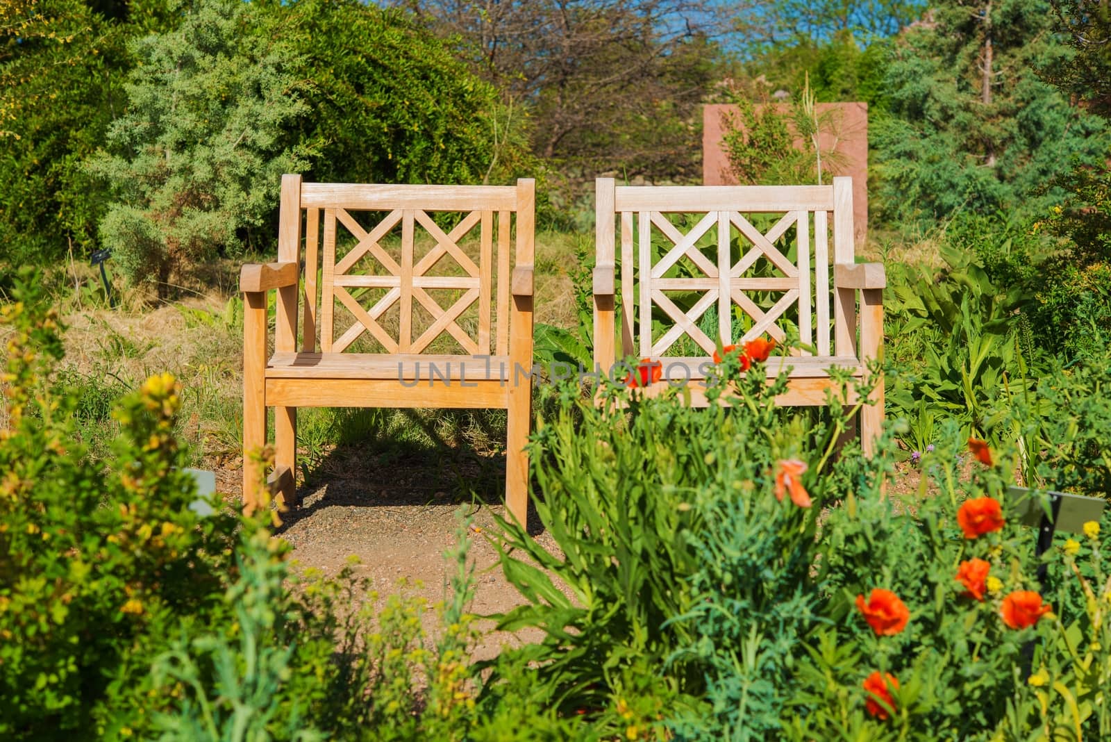 Two Wooden Garden Chairs in the Middle of the Garden.