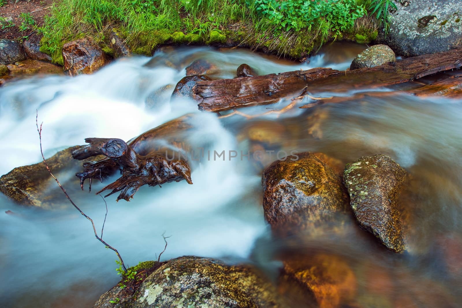 Clean Mountain River Closeup Photo. Rocky Mountain Stream.