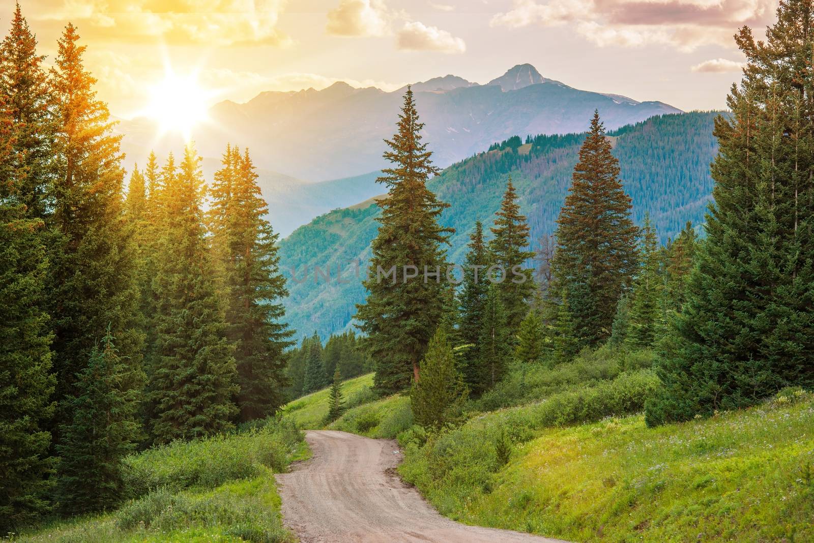 Mountain Landscape. Colorado Wilderness Backcountry Road.