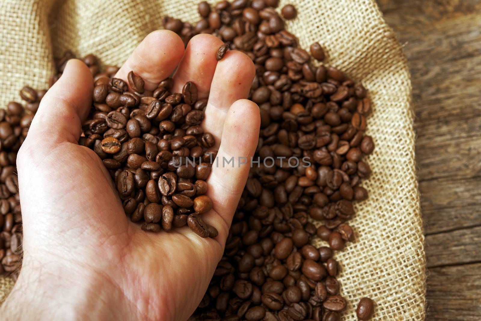 Coffee Beans Examination Closeup Photo.