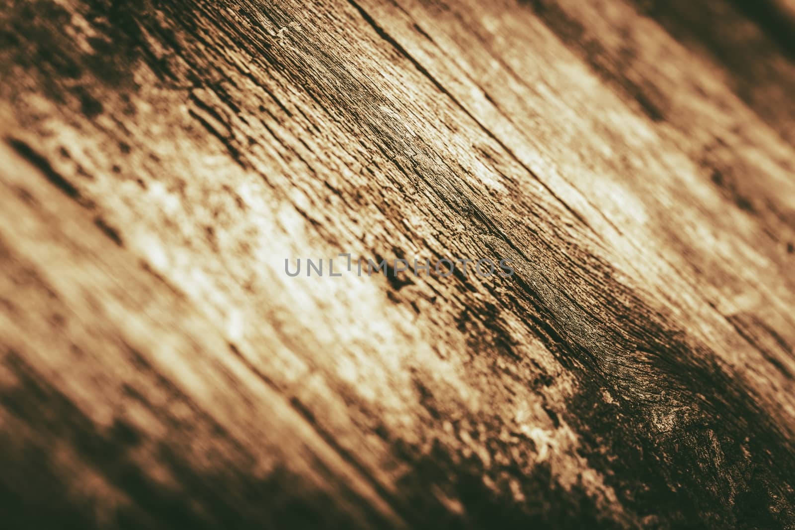 Wood Closeup with Shallow Depth of Field. Golden Brown Wood Background.