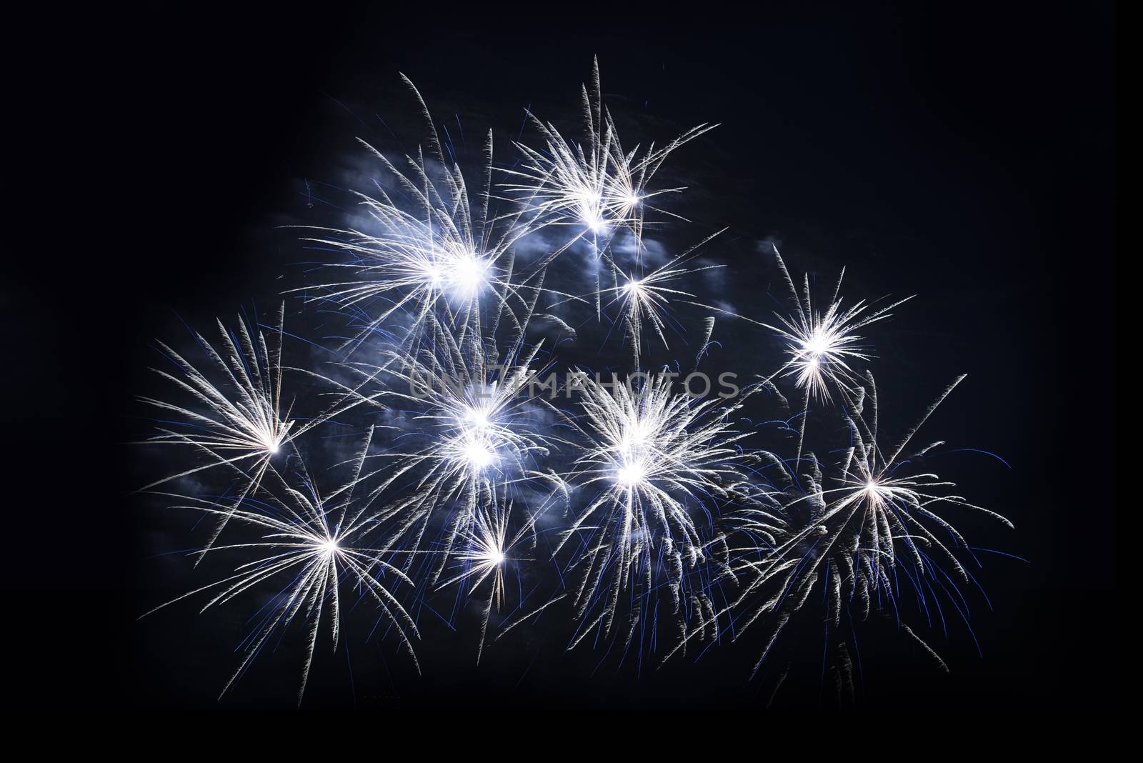 Fireworks Show. Fireworks Explosions on Black.
